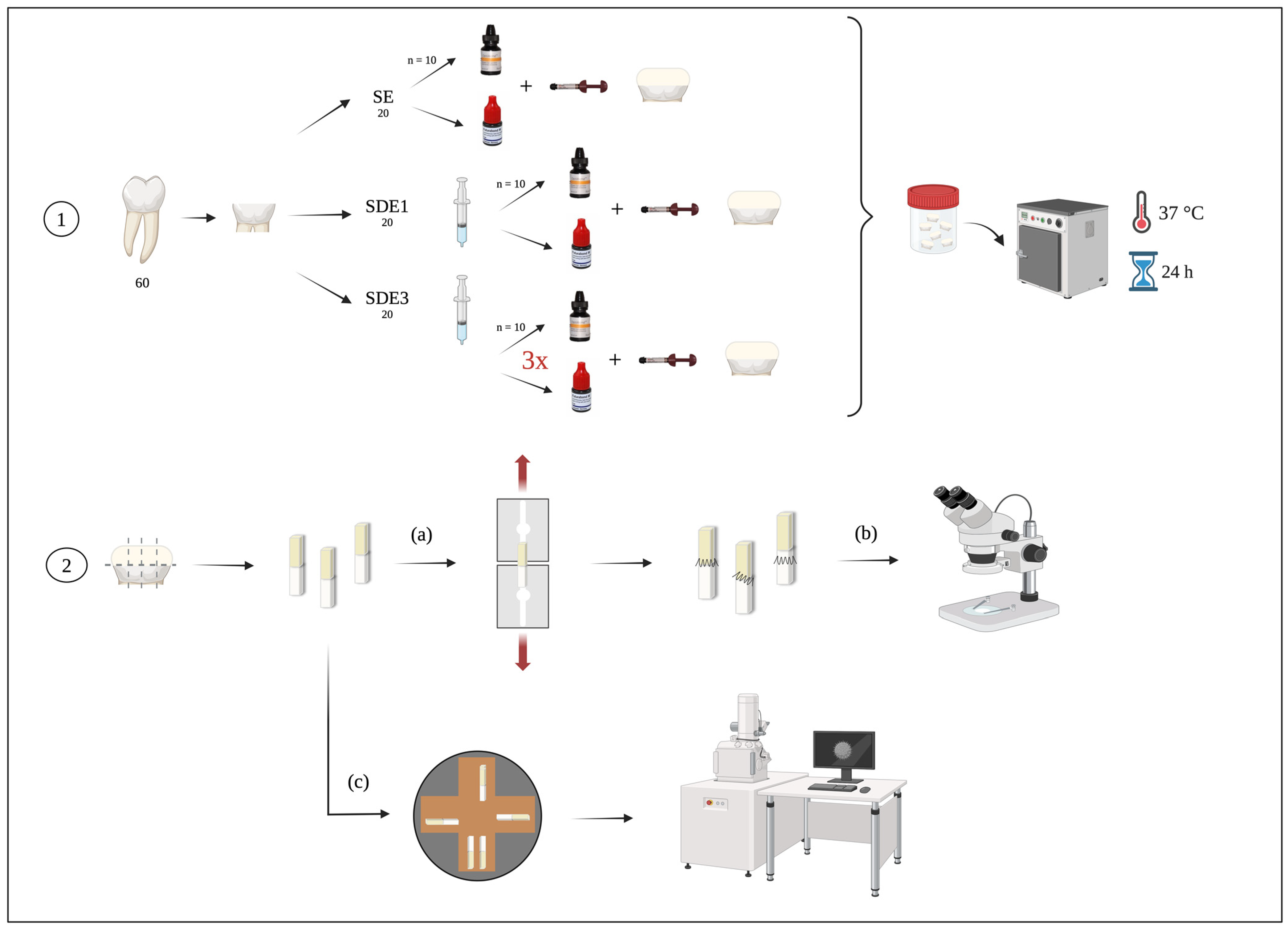Polymers 17 01215 g001 Polymers 17 01215 g001