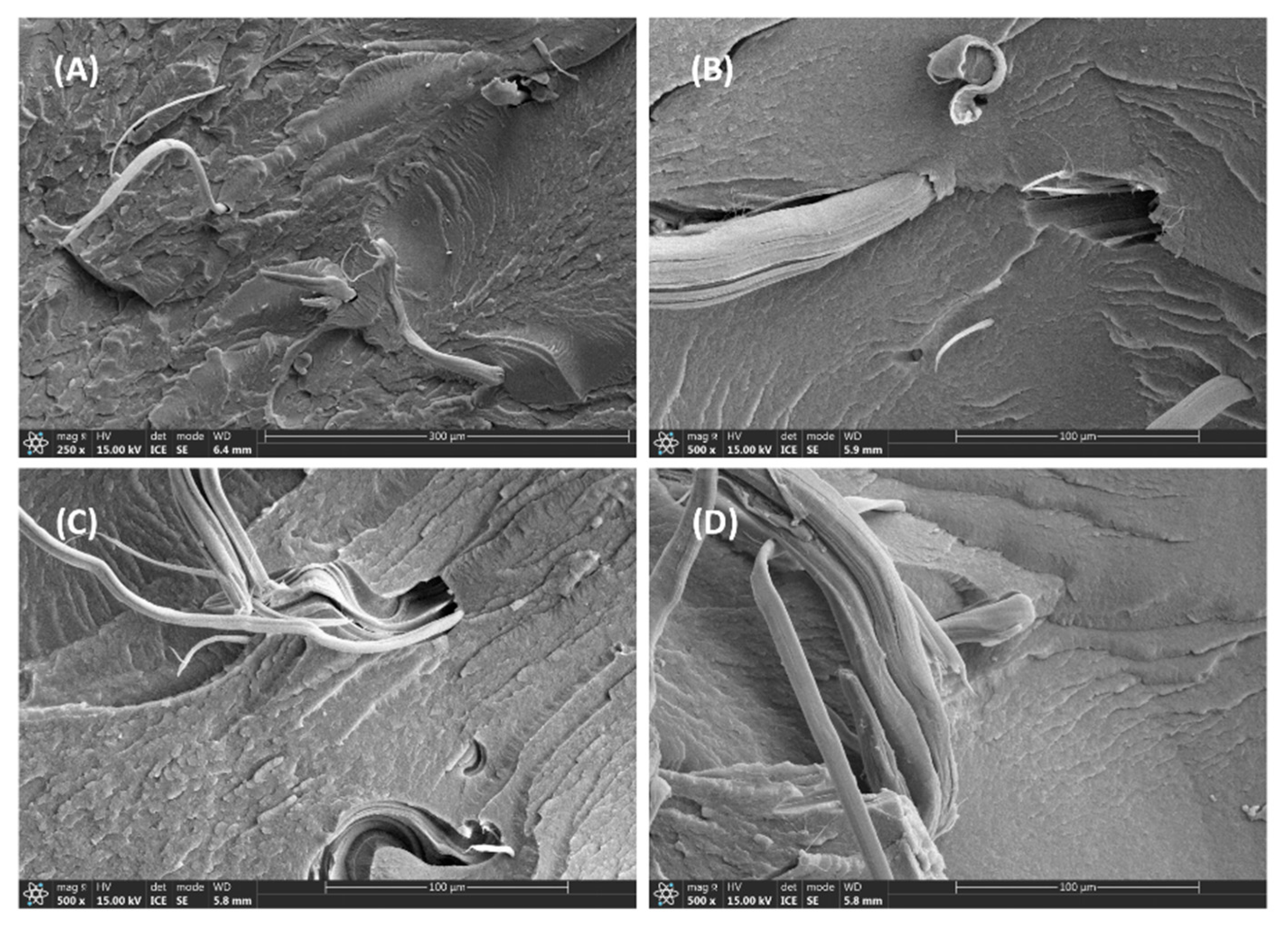 Polymers 17 01222 g004