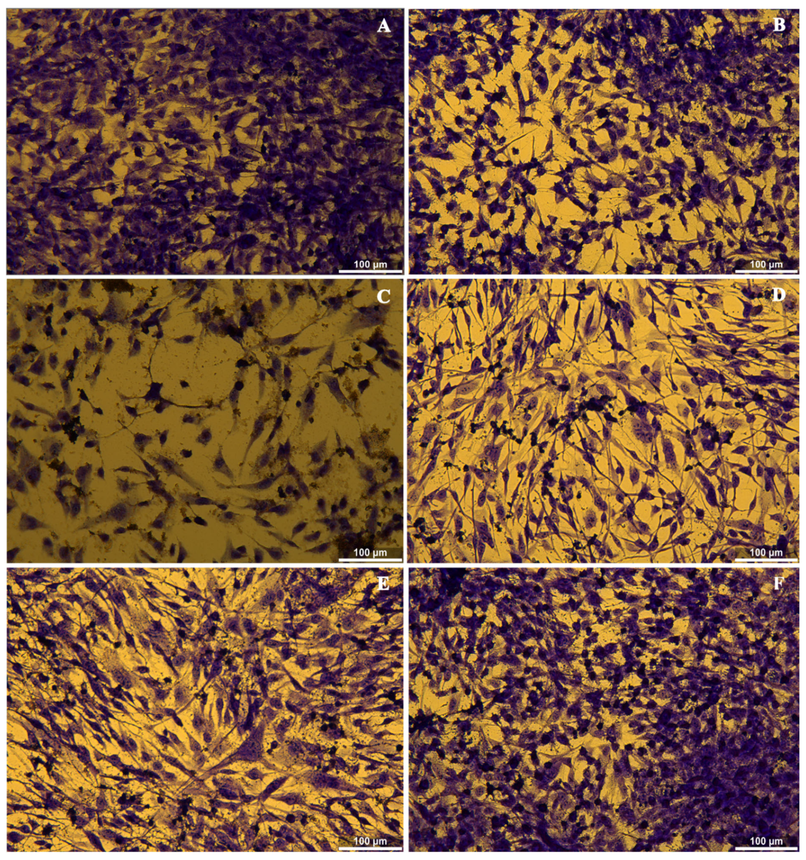 Polymers 17 01225 g011