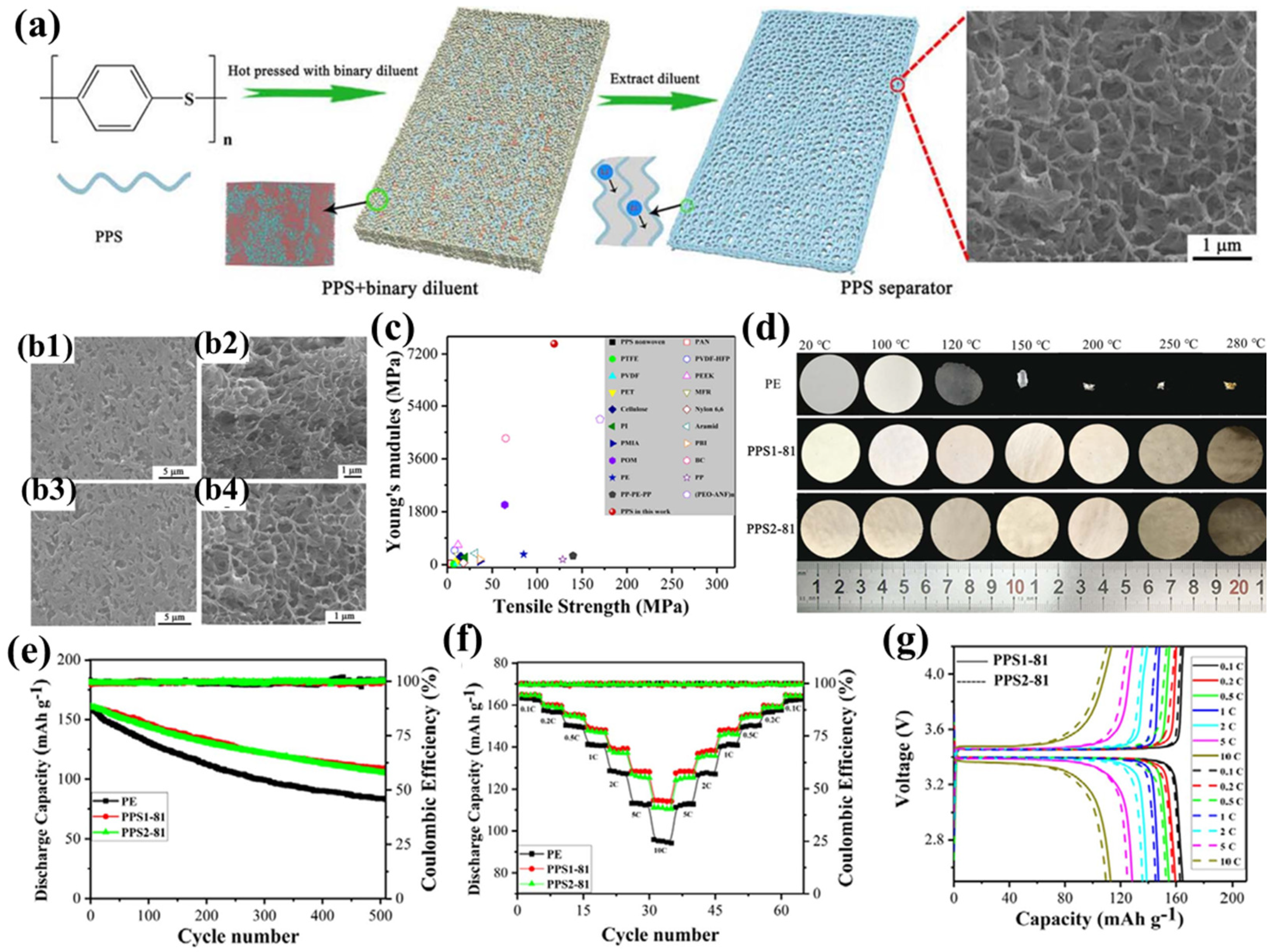 Polymers 17 01237 g002