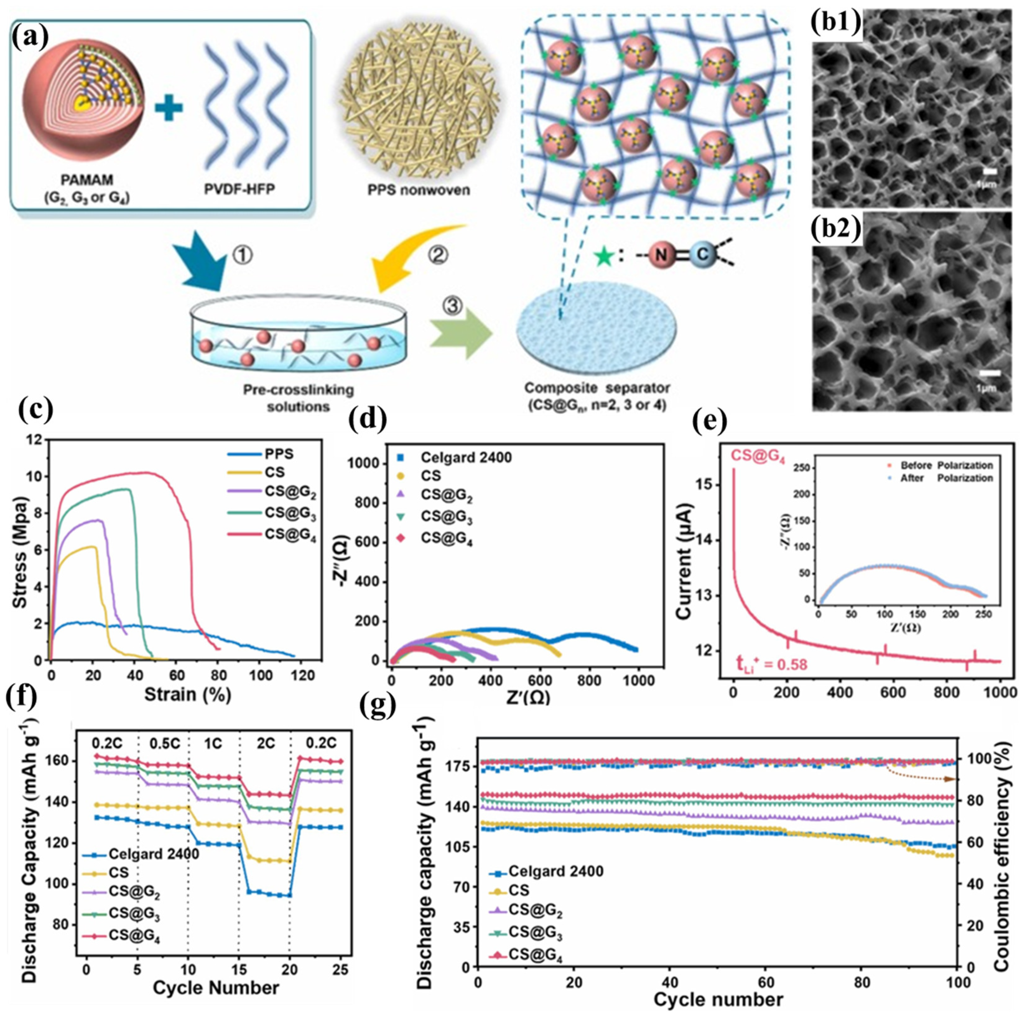Polymers 17 01237 g005
