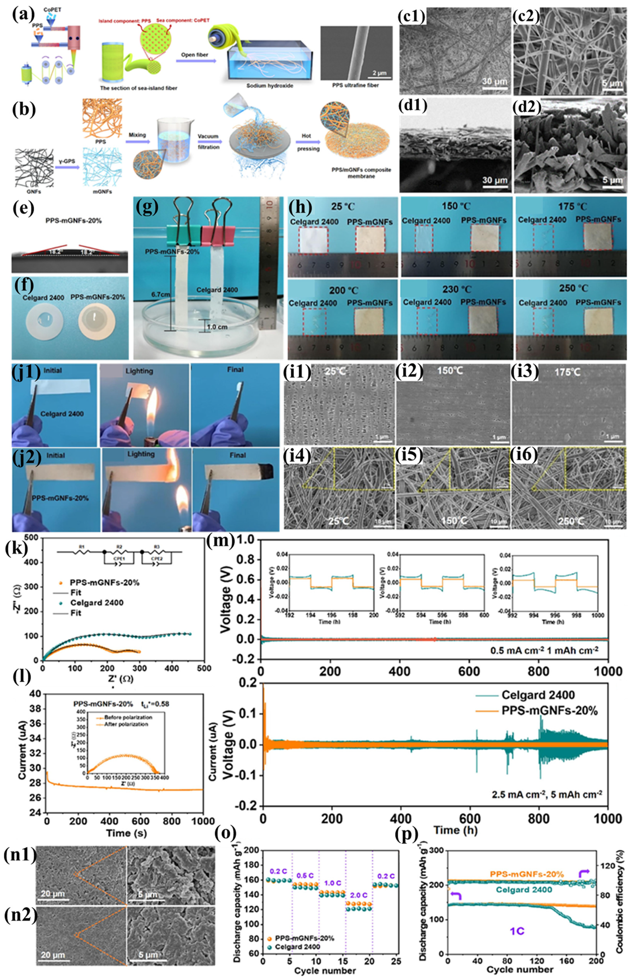 Polymers 17 01237 g009
