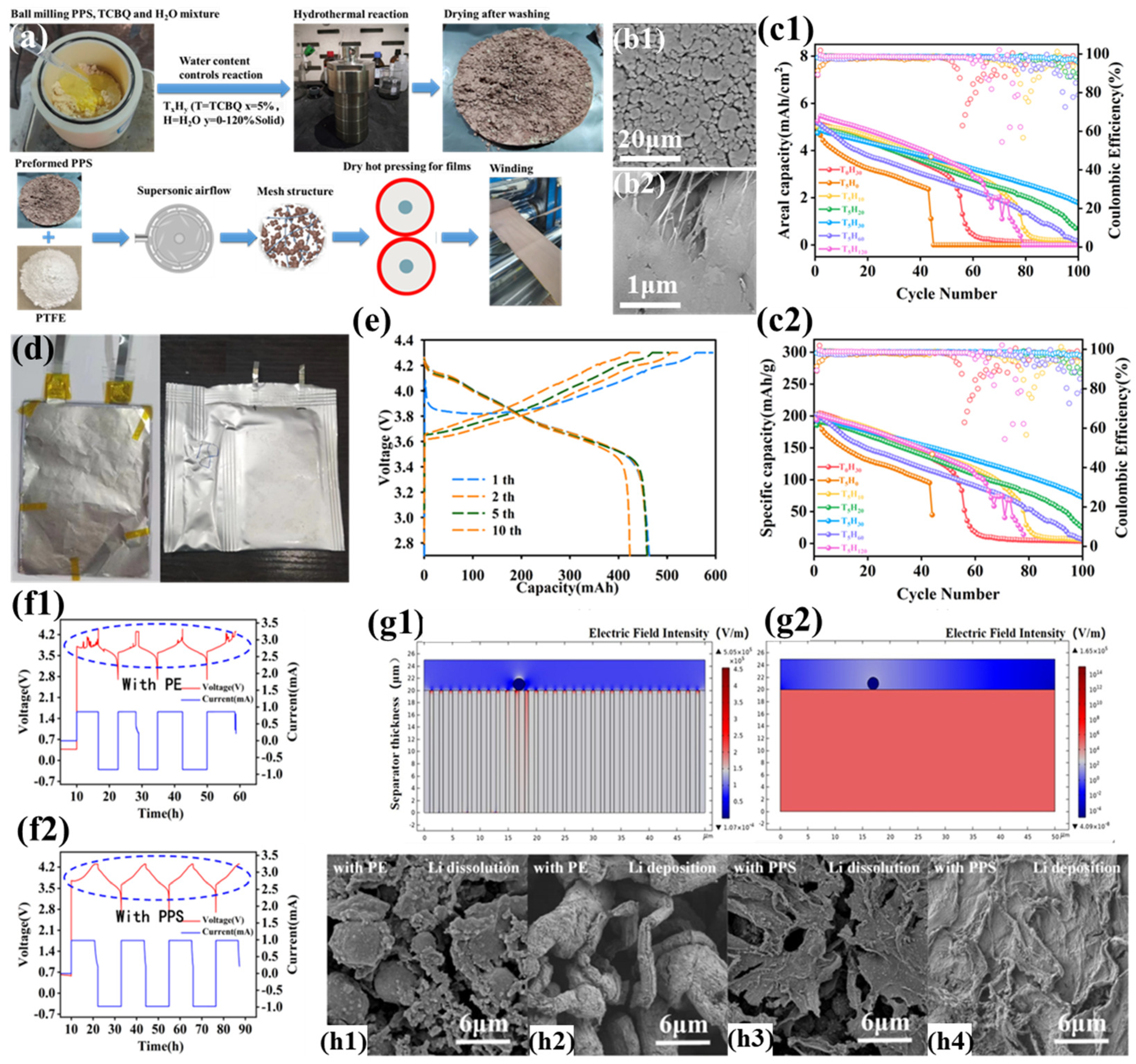 Polymers 17 01237 g010