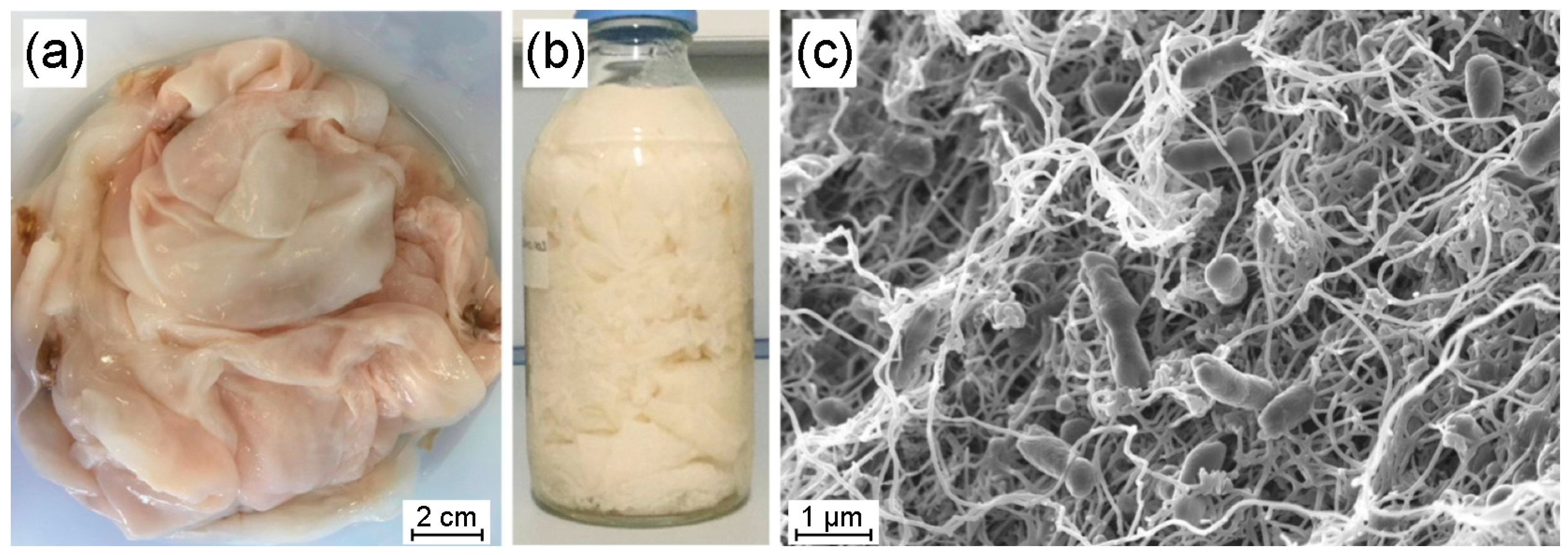 Polymers 17 01240 g001