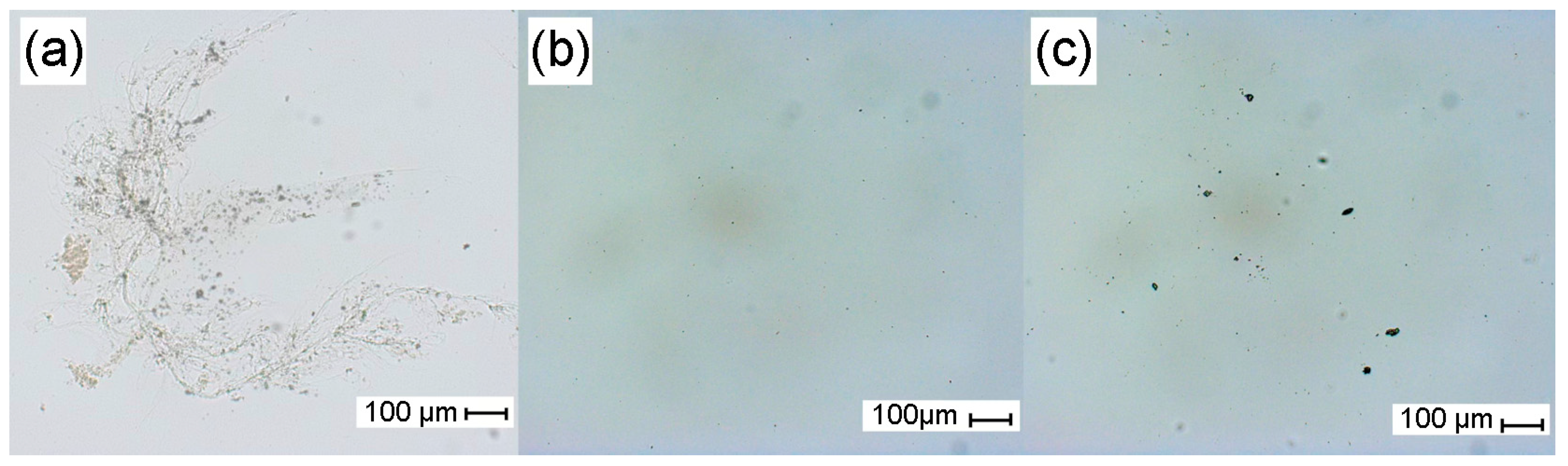 Polymers 17 01240 g004