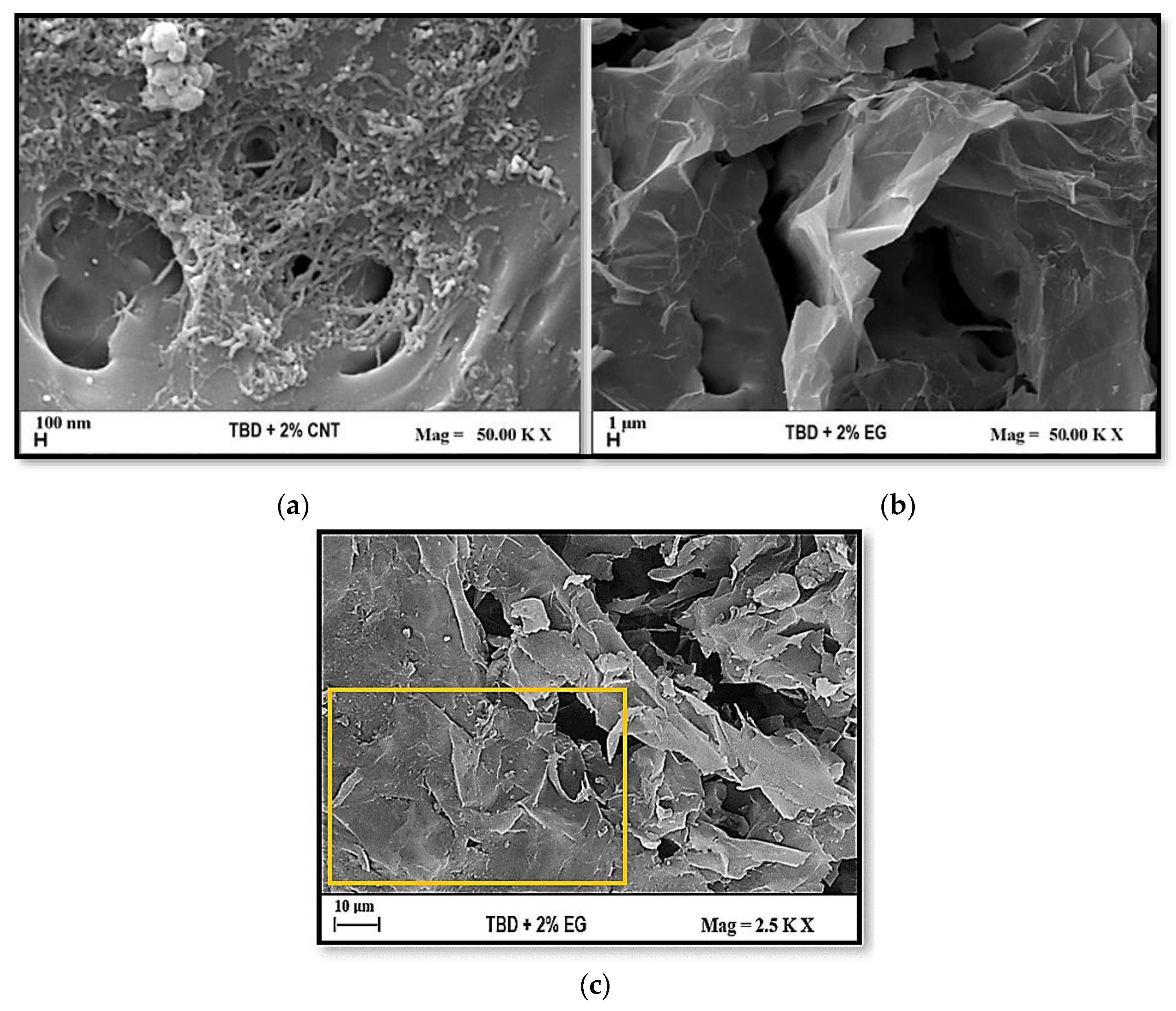 Polymers 17 01248 g007