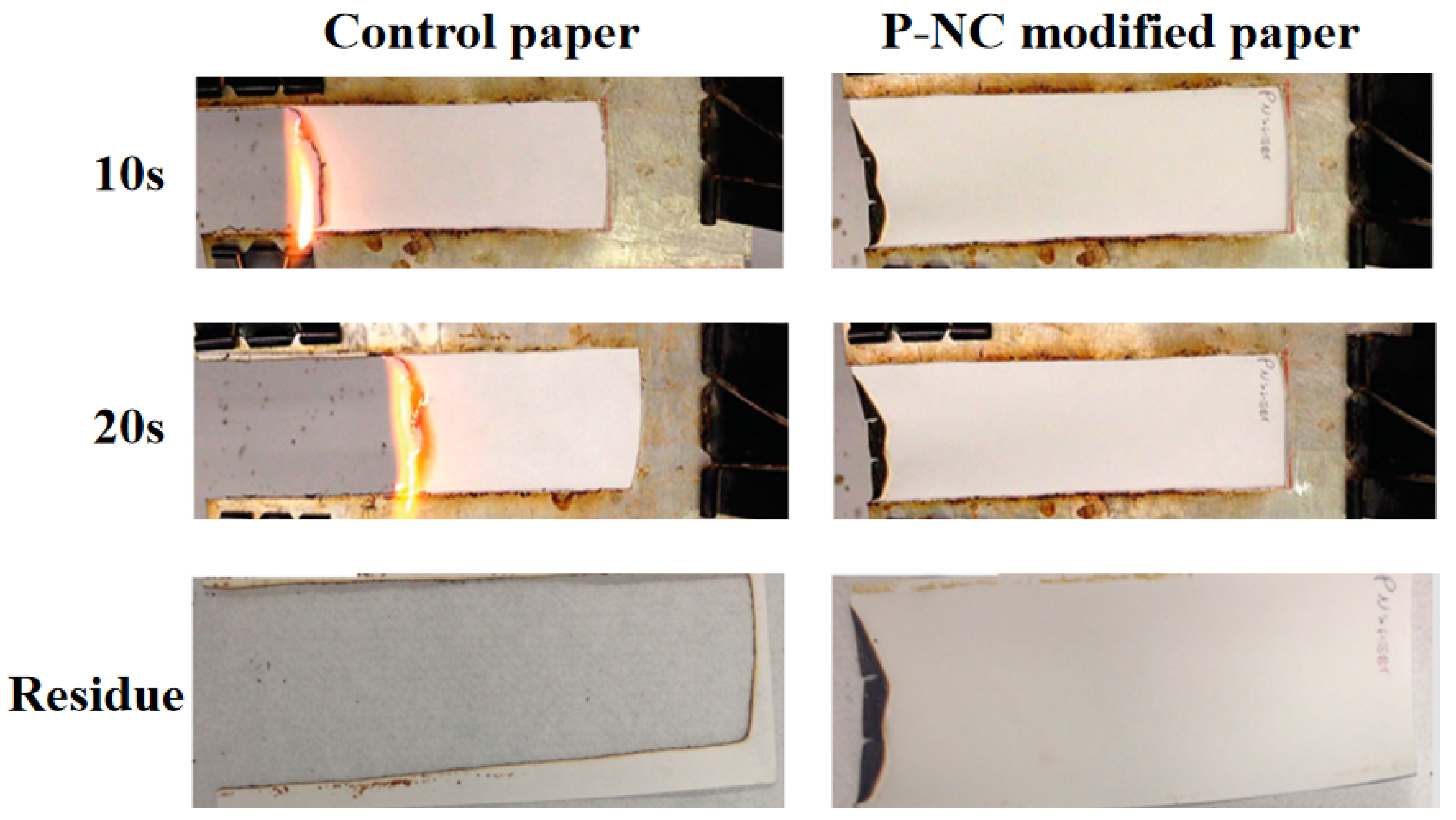 Polymers 17 01249 g004 Polymers 17 01249 g004