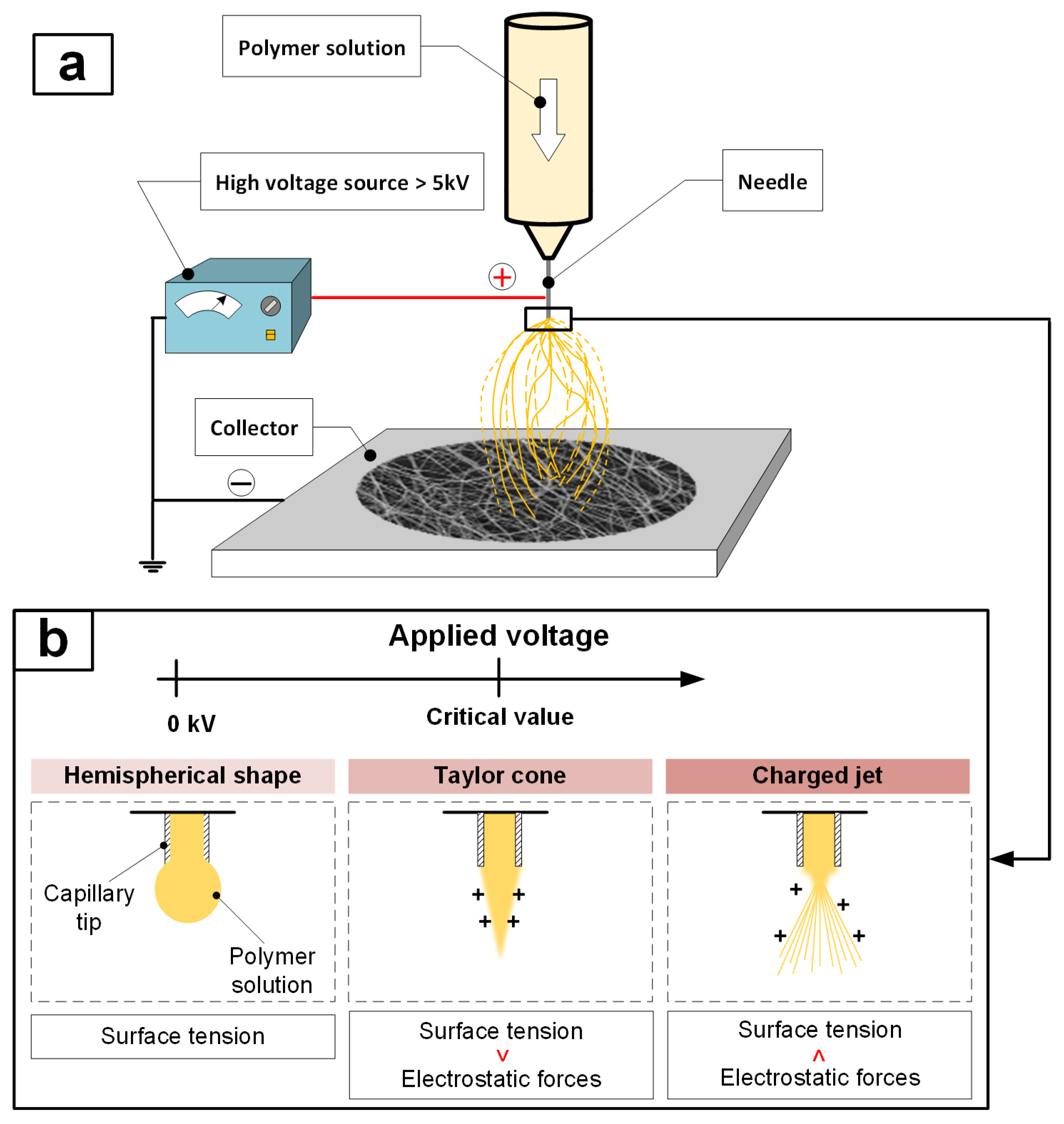Polymers 17 01255 g001