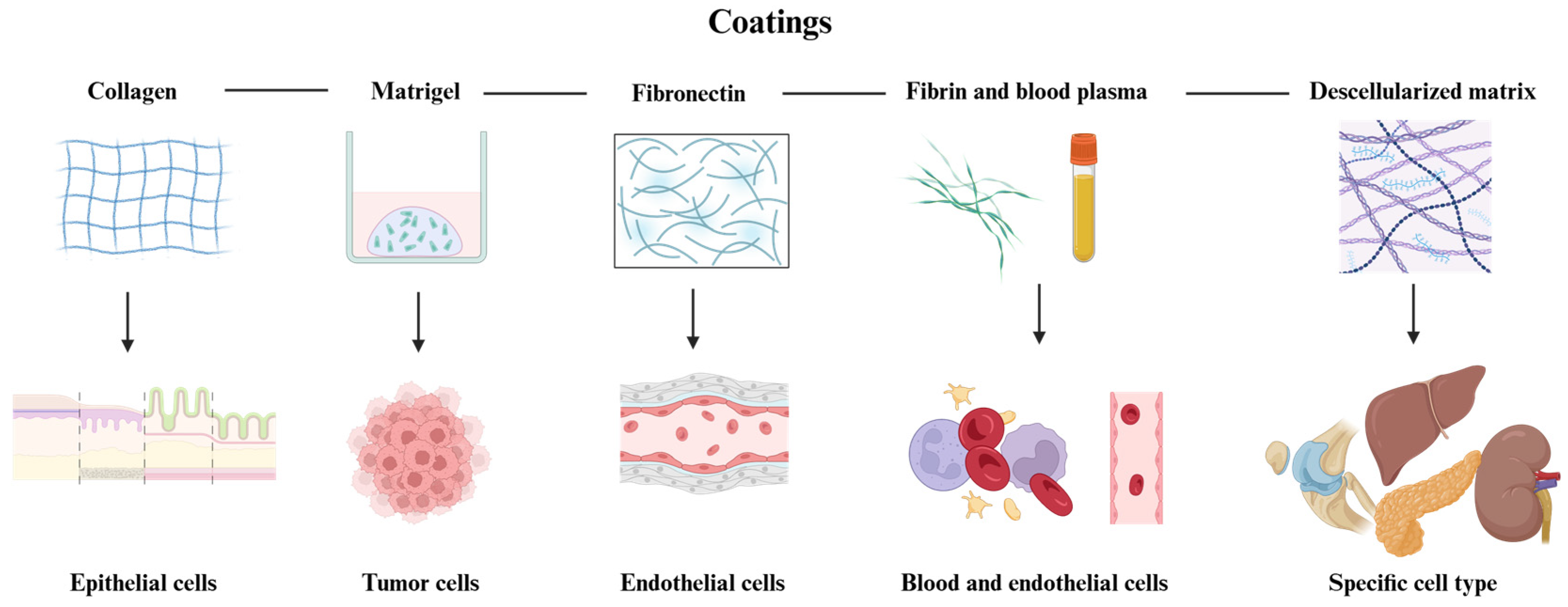Polymers 17 01263 g001