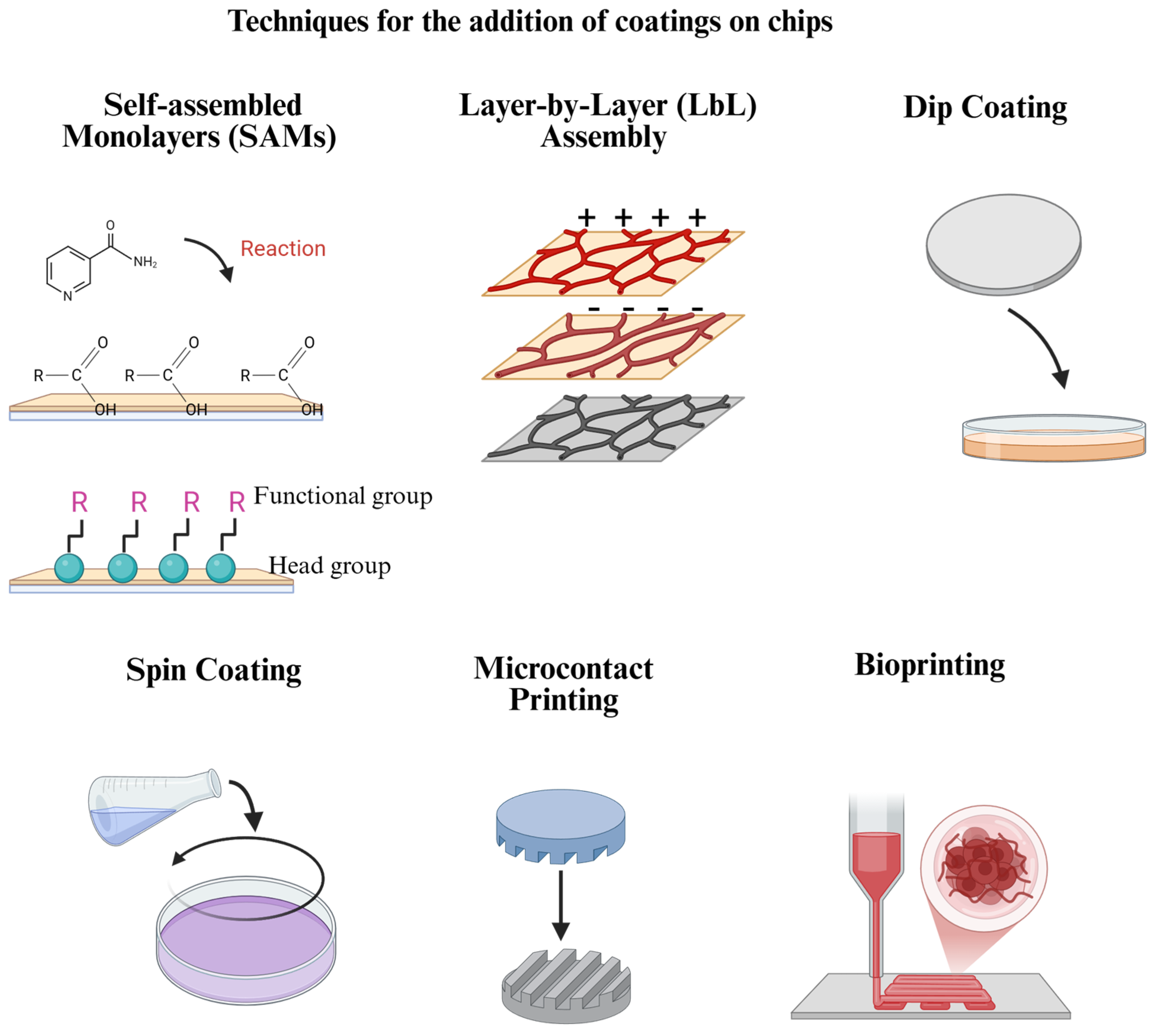 Polymers 17 01263 g002