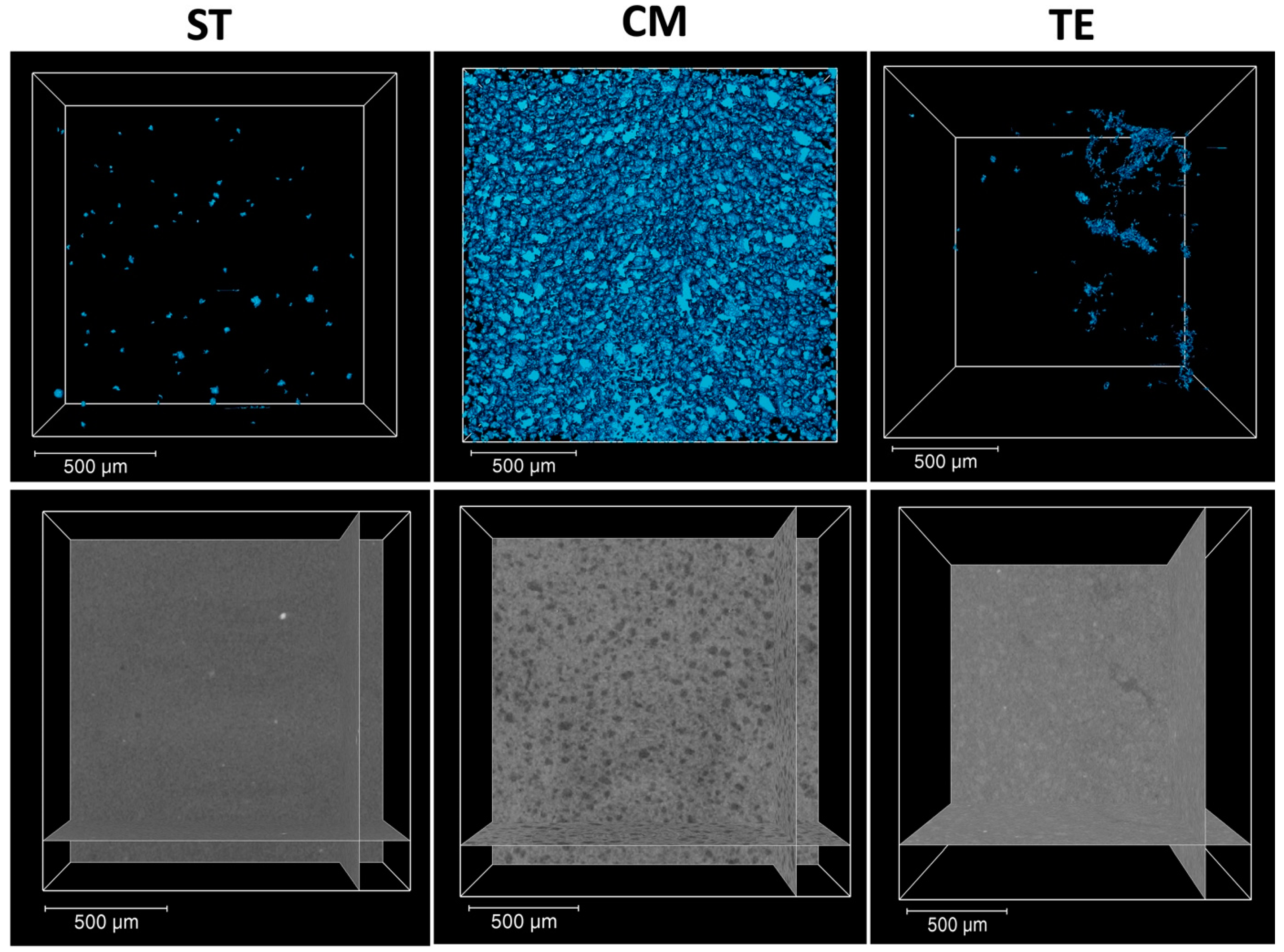 Polymers 17 01272 g003
