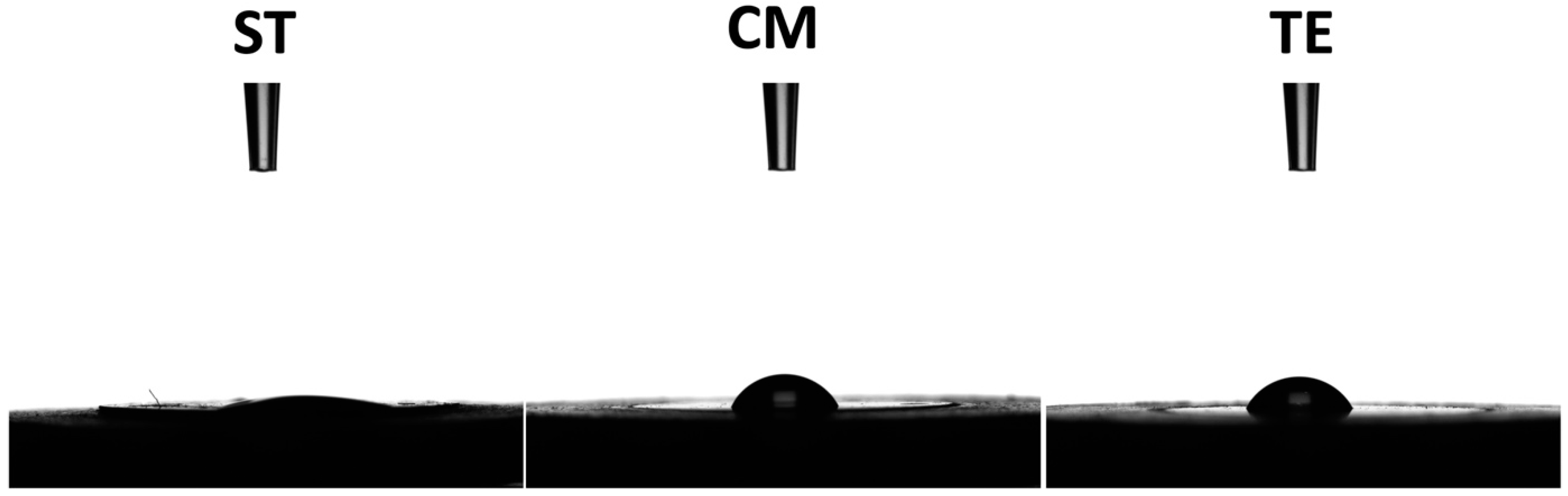 Polymers 17 01272 g007