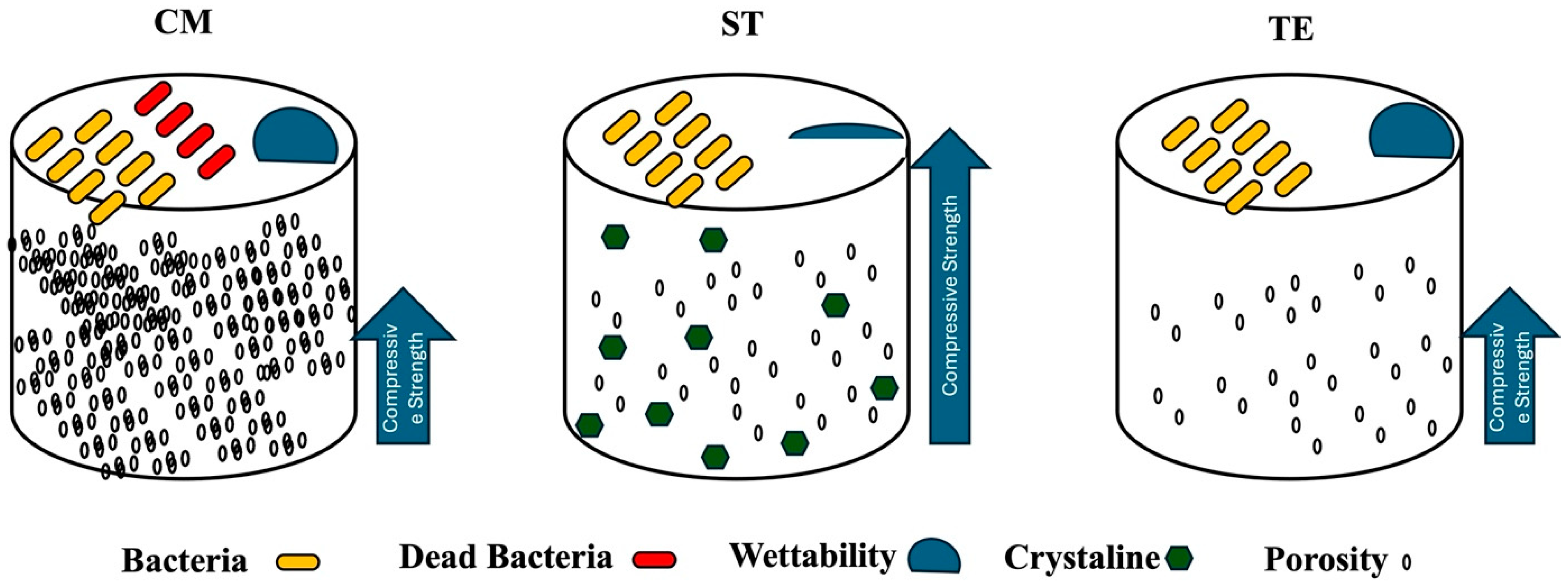 Polymers 17 01272 g009