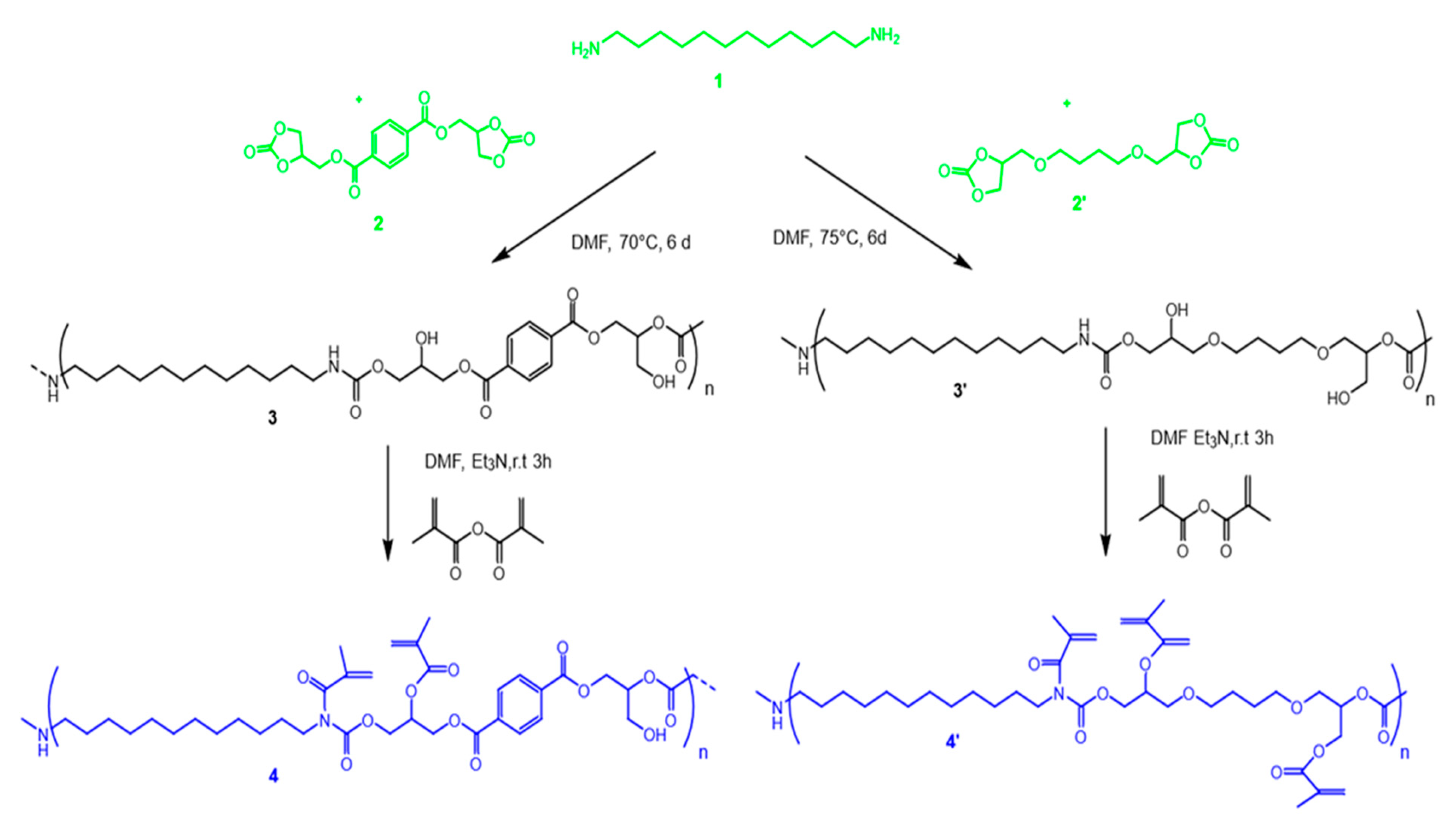 Polymers 17 01285 g001