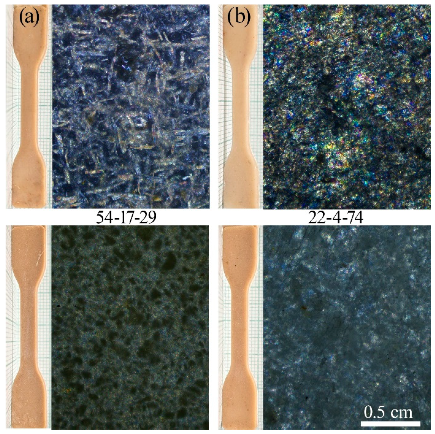 Polymers 17 01290 g007