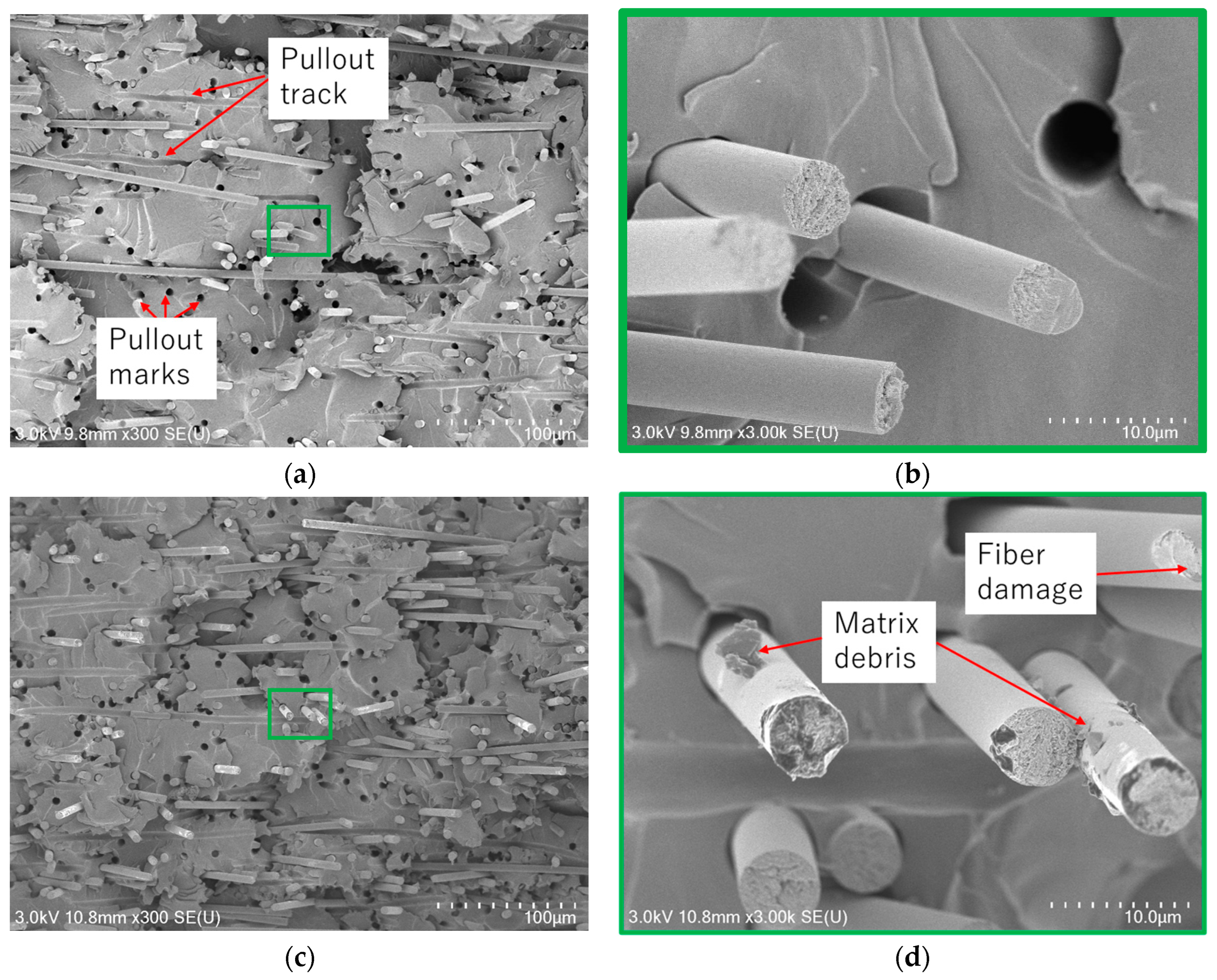 Polymers 17 01293 g013 Polymers 17 01293 g013
