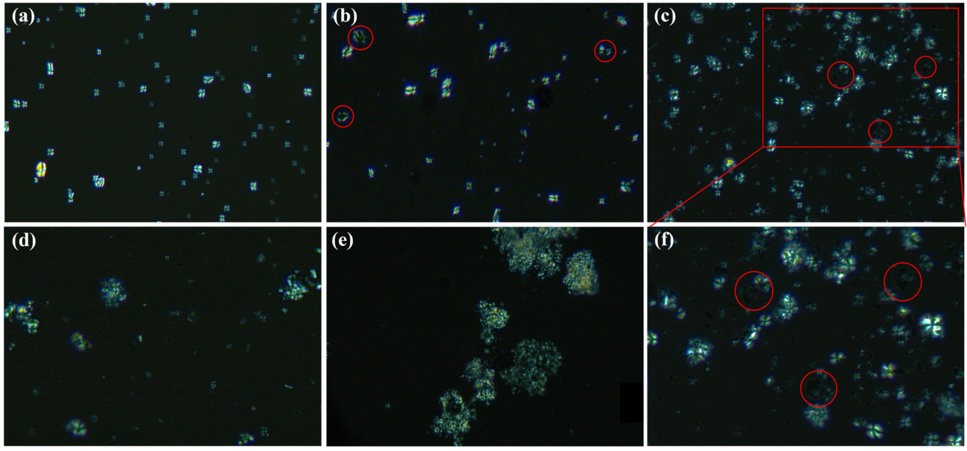 Polymers 17 01296 g004 Polymers 17 01296 g004