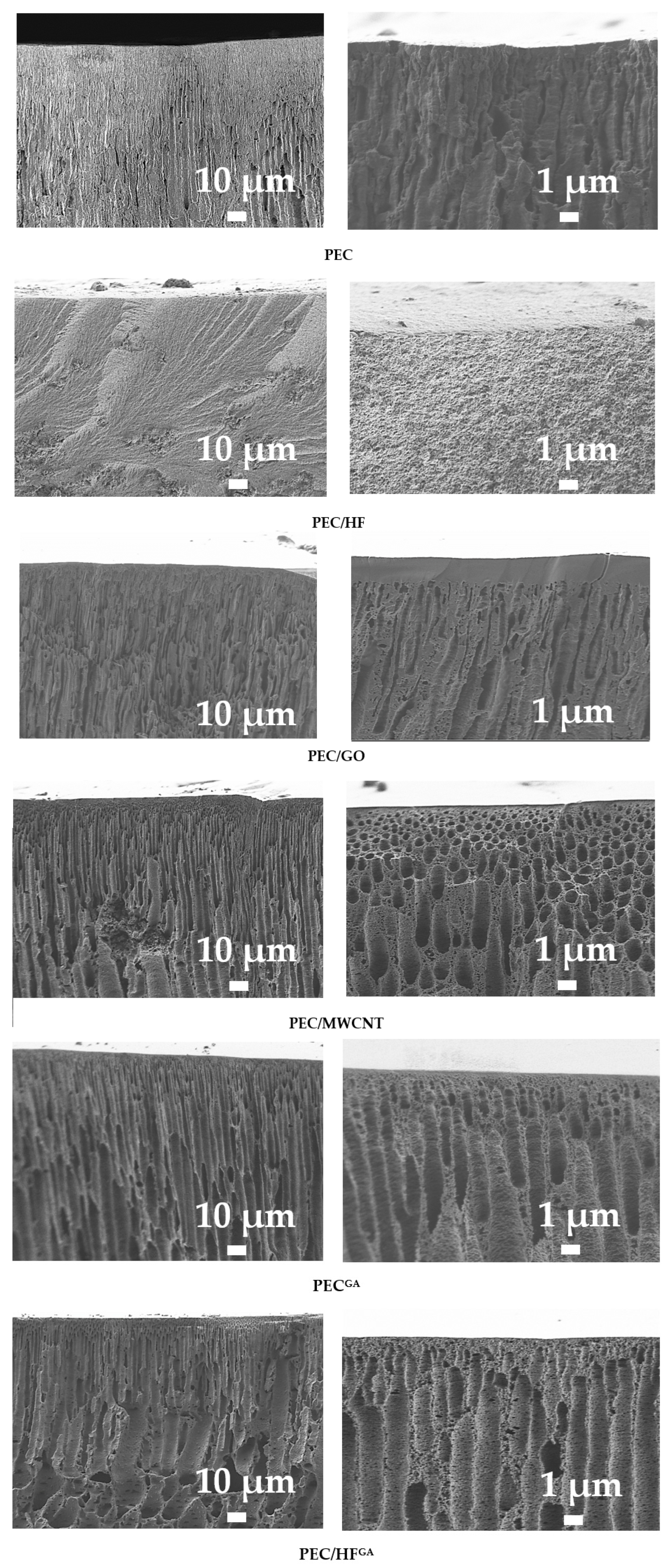 Polymers 17 01306 g010 Polymers 17 01306 g010