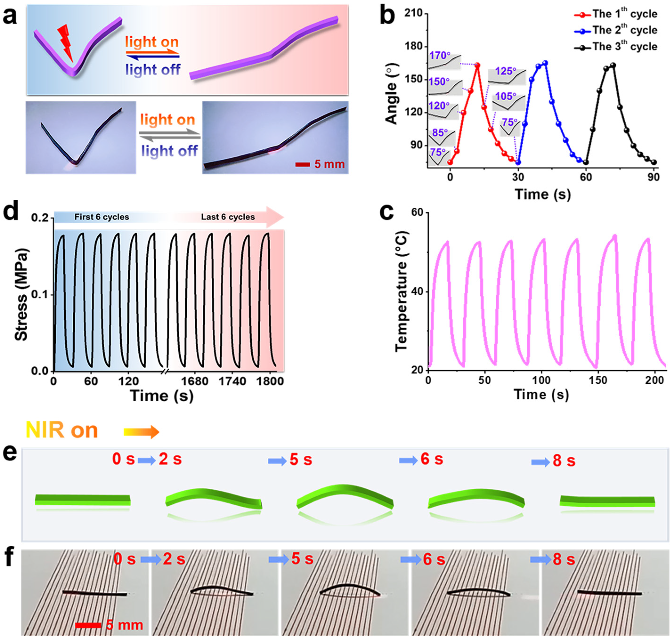 Polymers 17 01315 g005