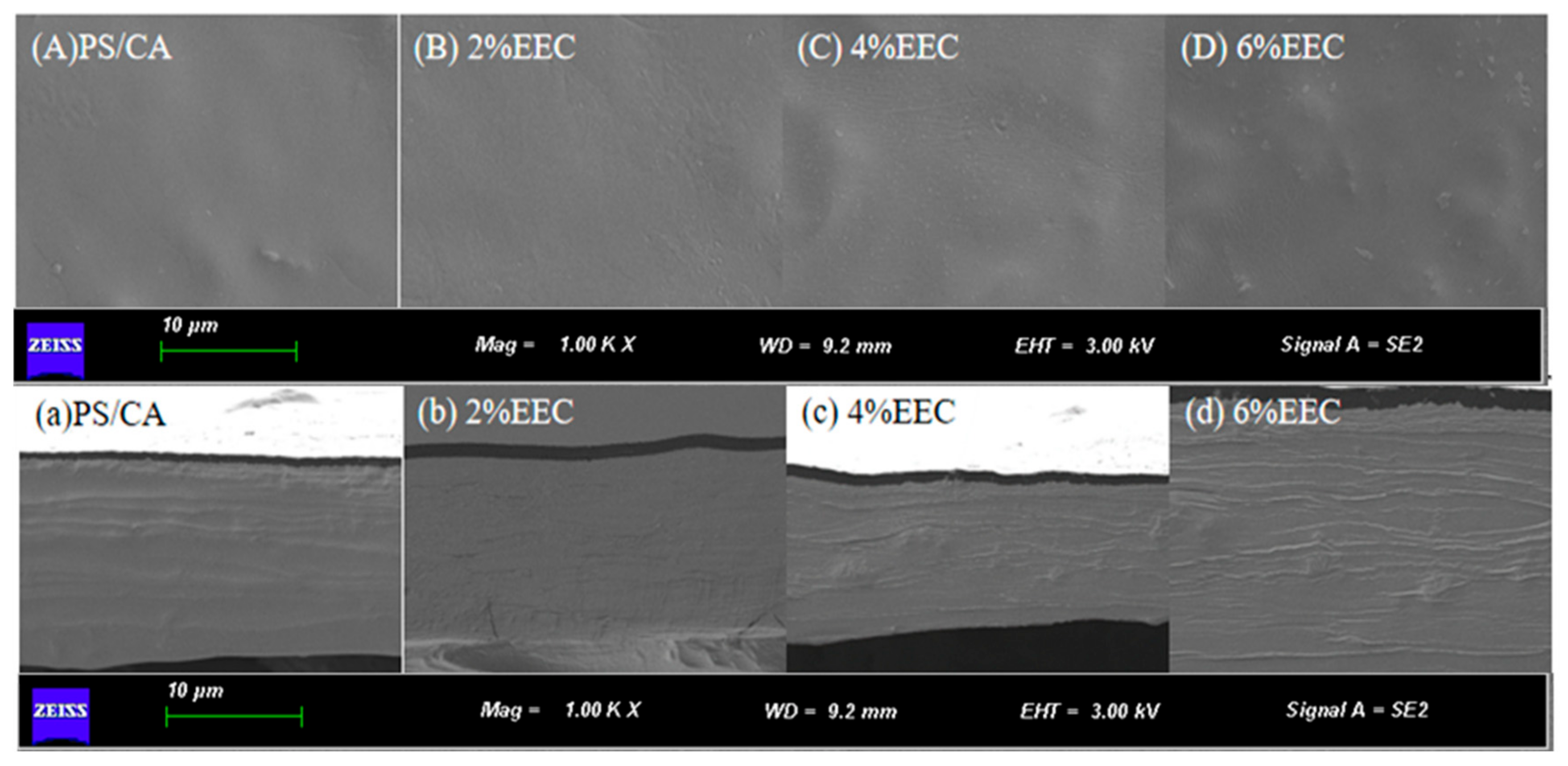 Polymers 17 01328 g003