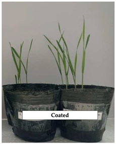 Polymers 17 01330 i003