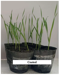 Polymers 17 01330 i004