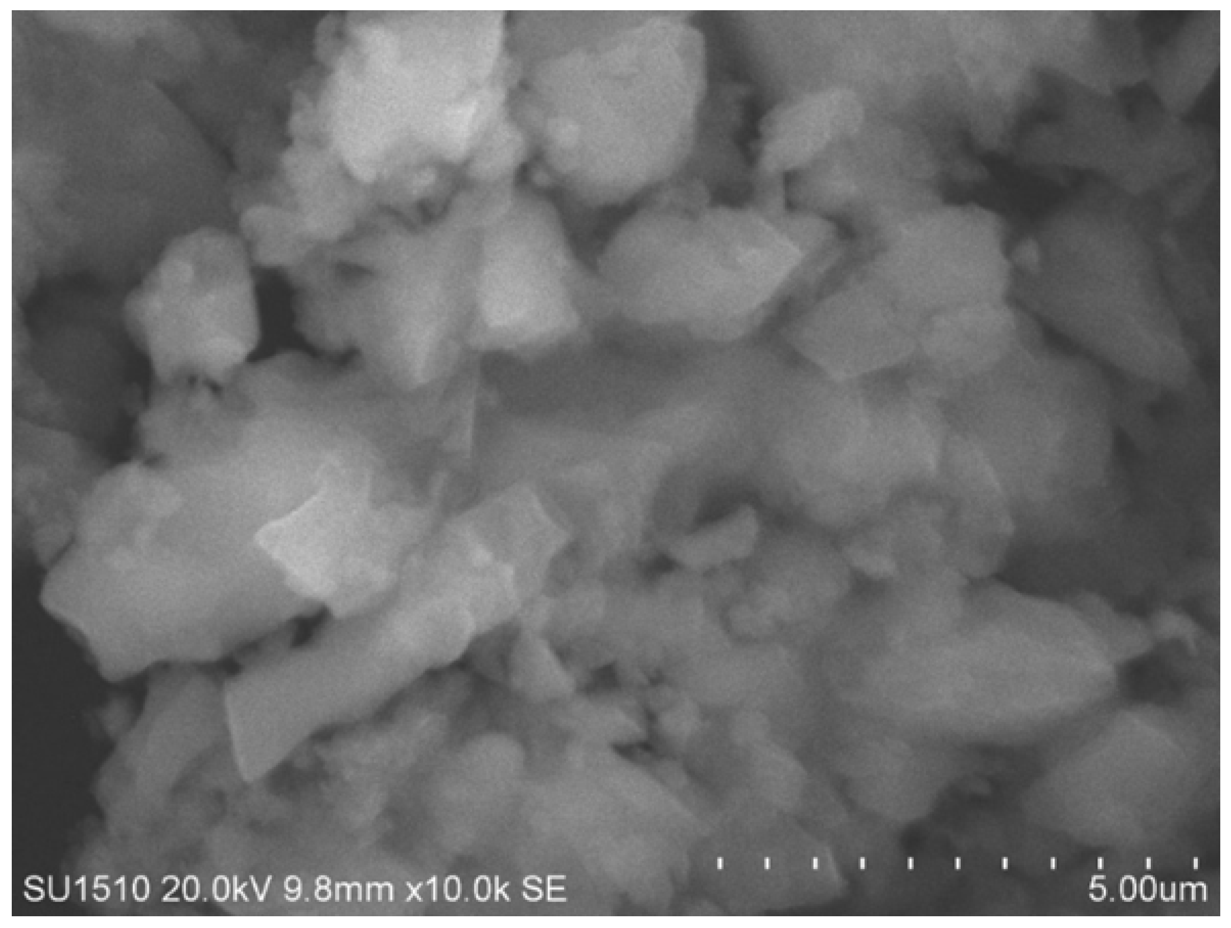 Polymers 17 01337 g005