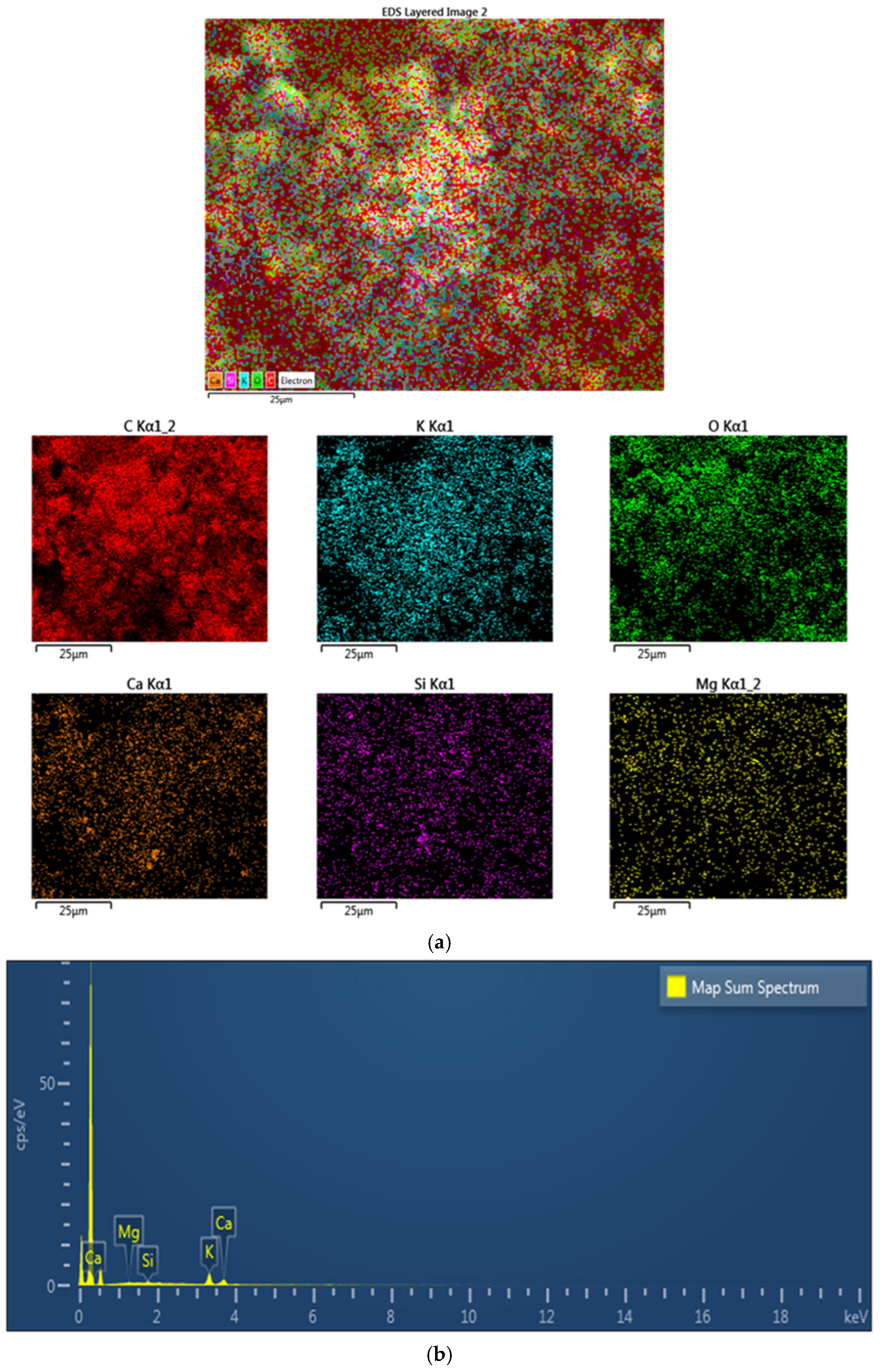 Polymers 17 01337 g006
