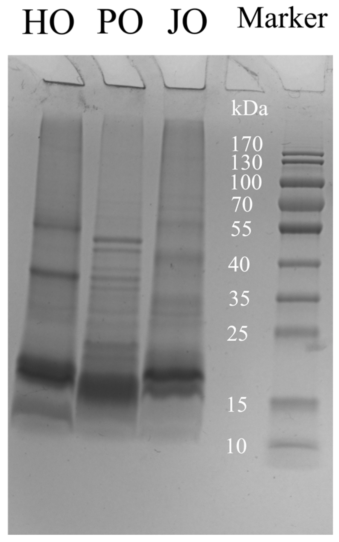 Polymers 17 01346 g001