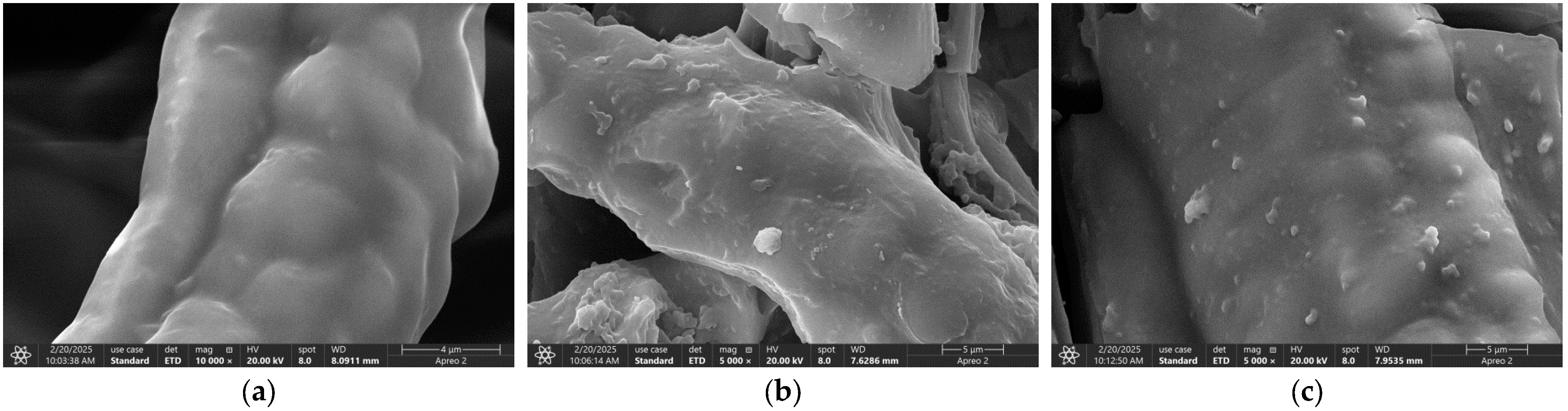 Polymers 17 01368 g033