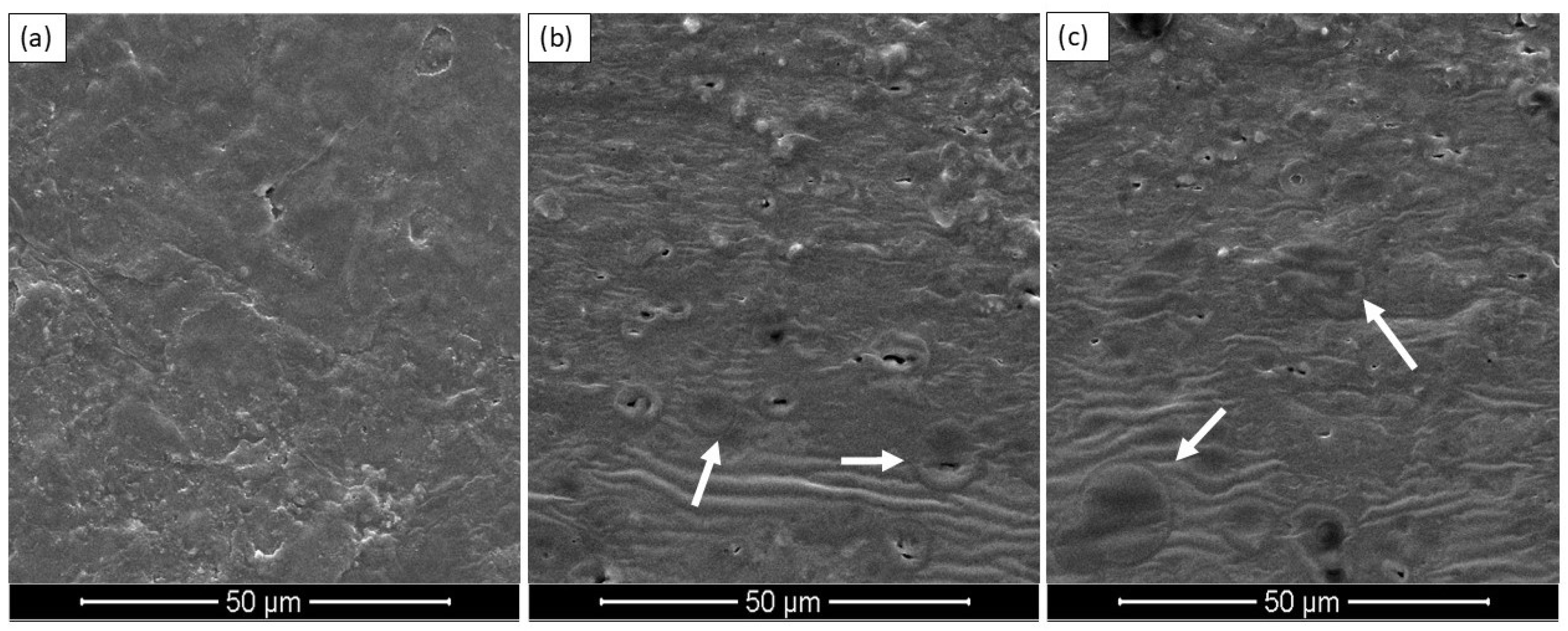 Polymers 17 01376 g003