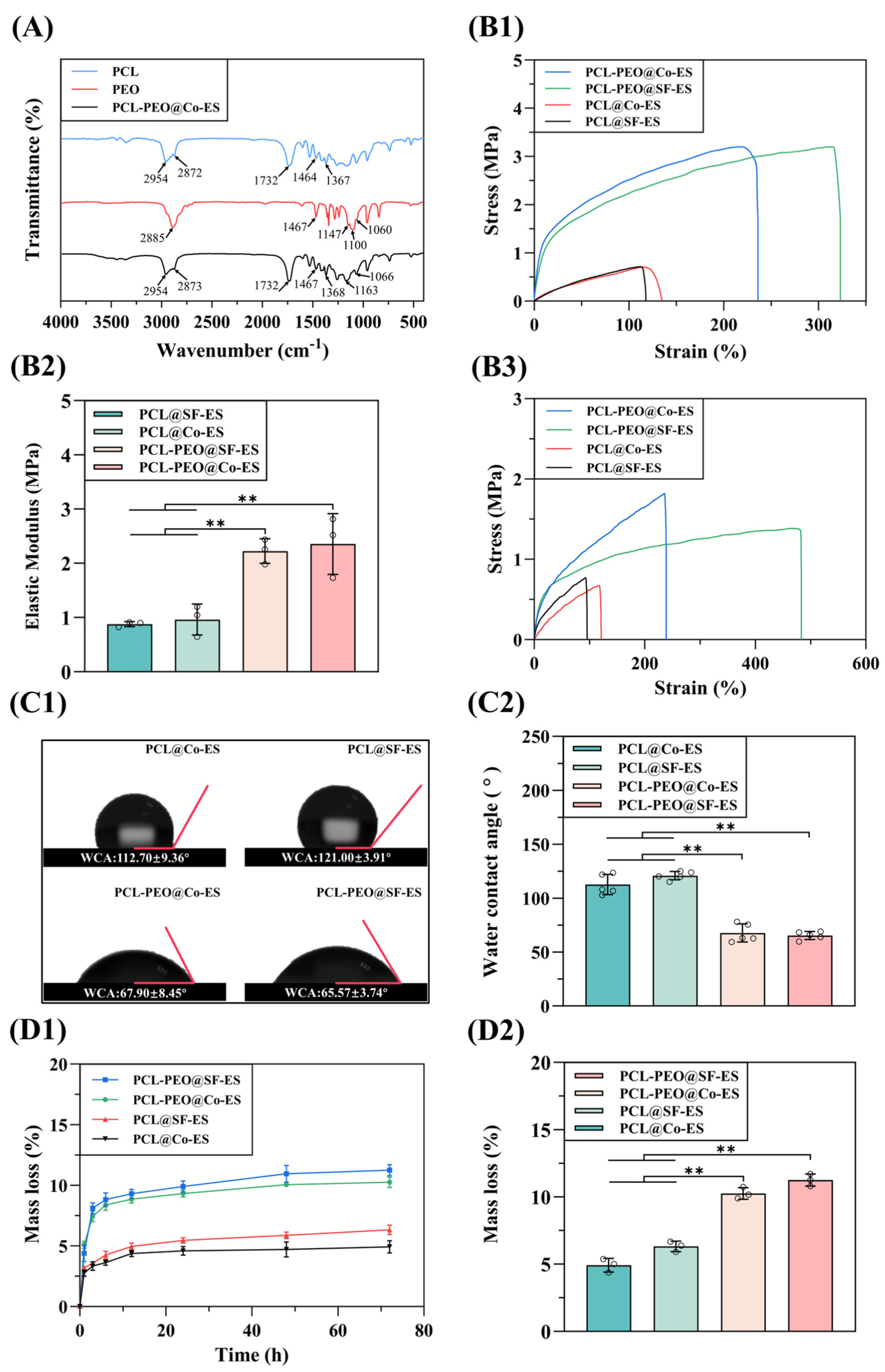 Polymers 17 01381 g003