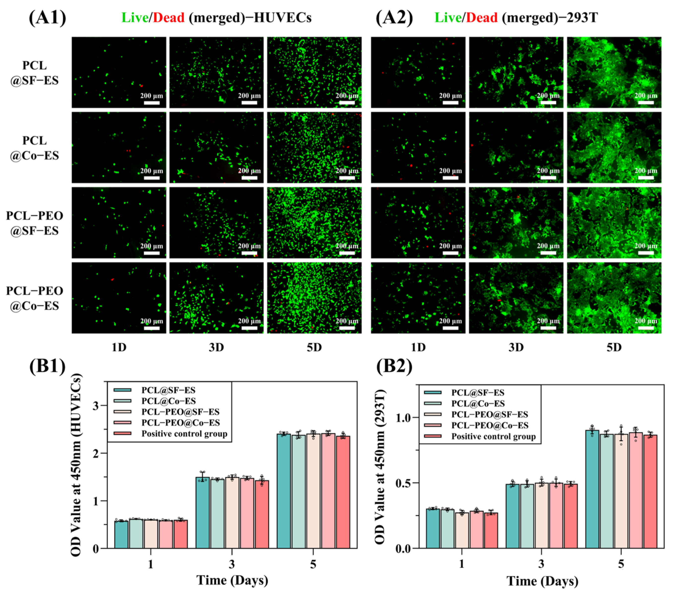 Polymers 17 01381 g004