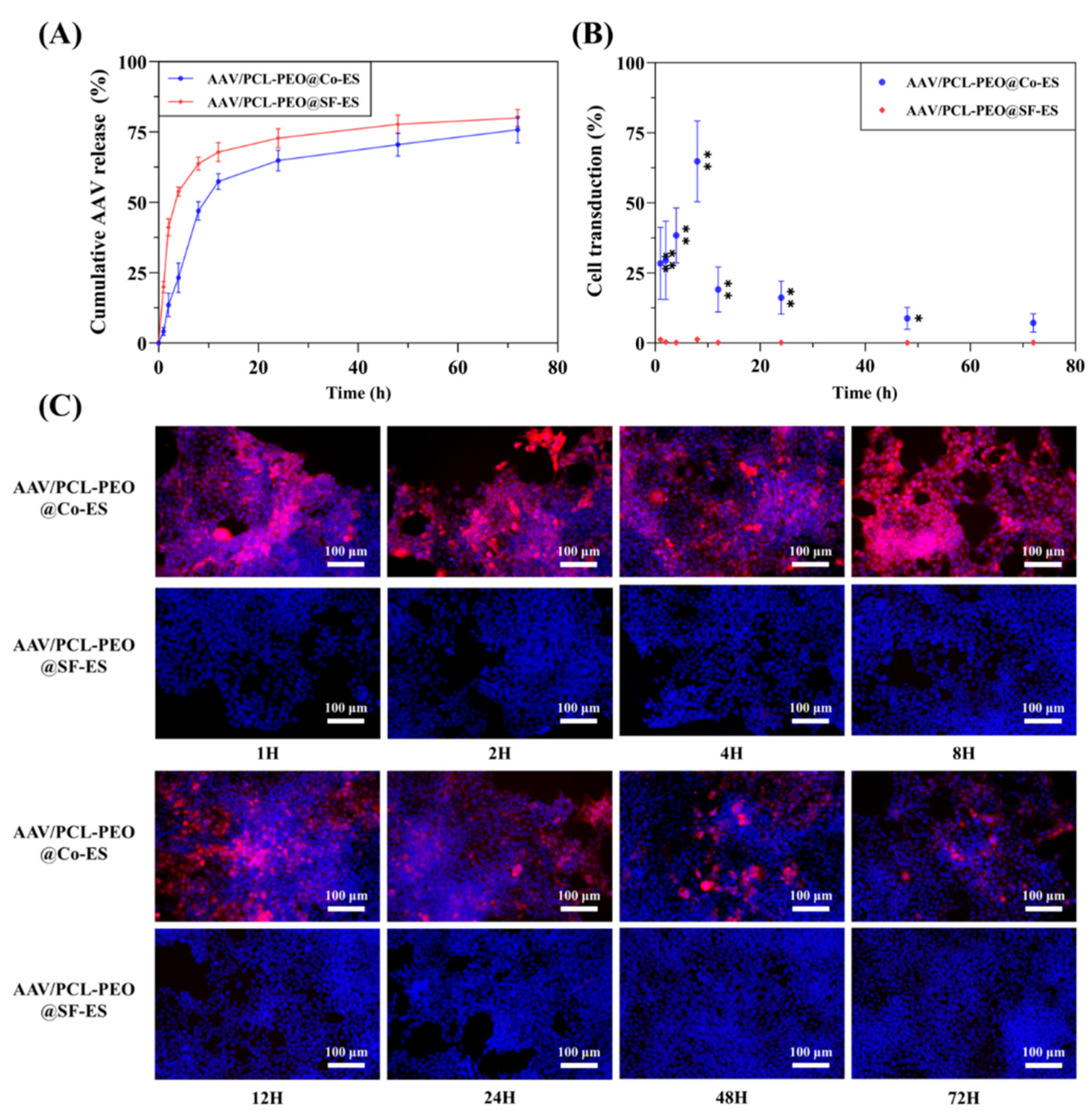 Polymers 17 01381 g005
