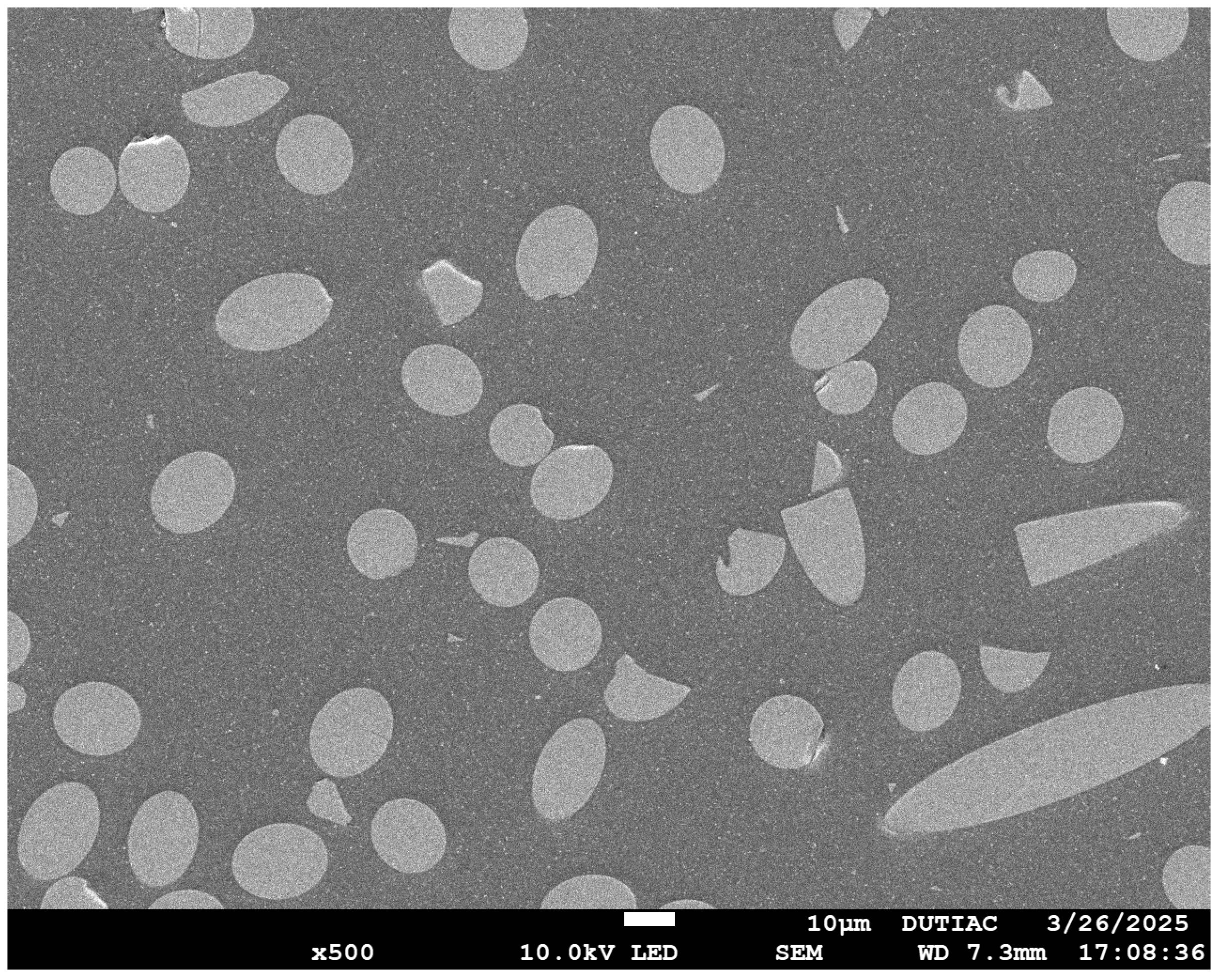 Polymers 17 01382 g001