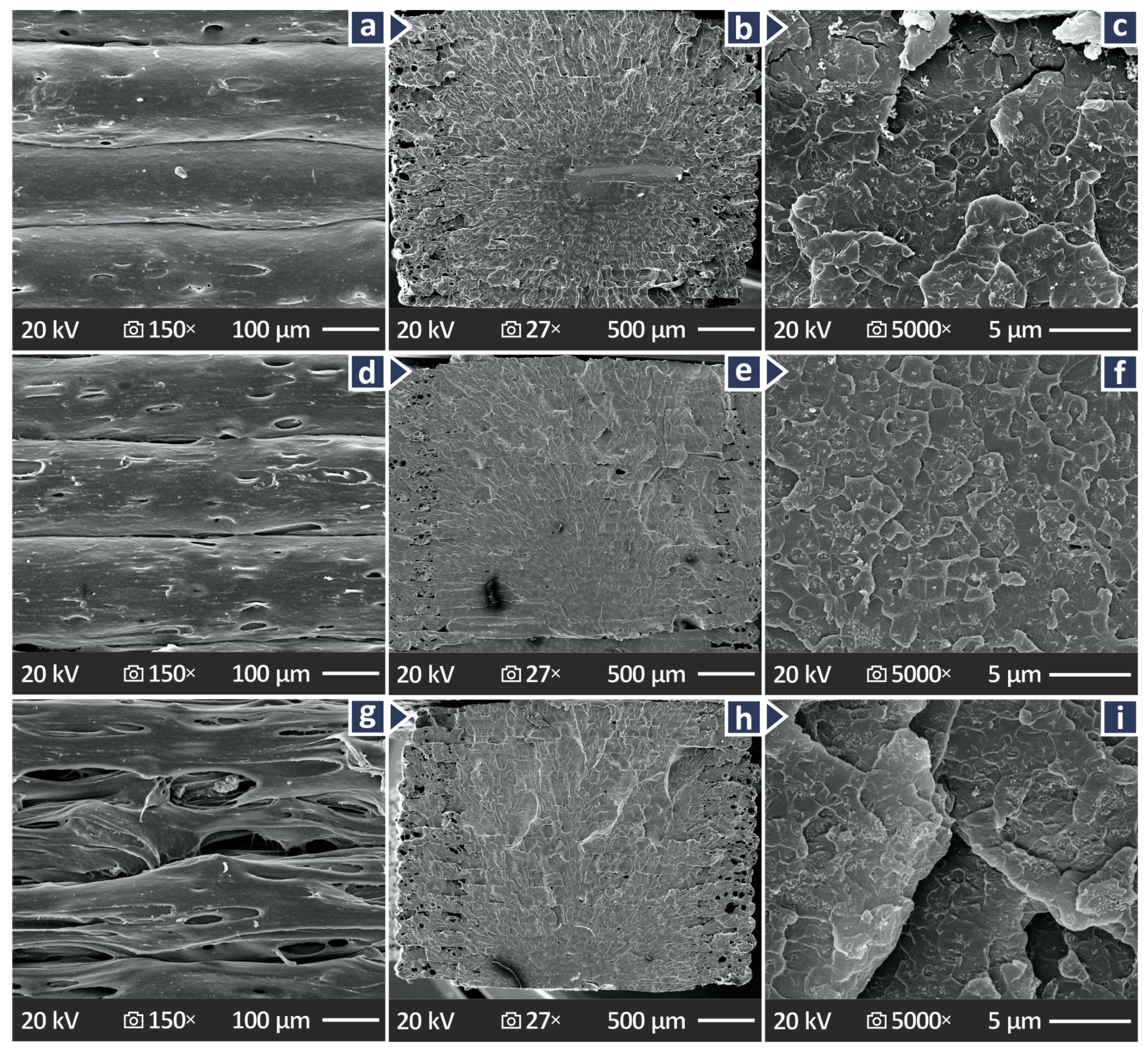 Polymers 17 01383 g011