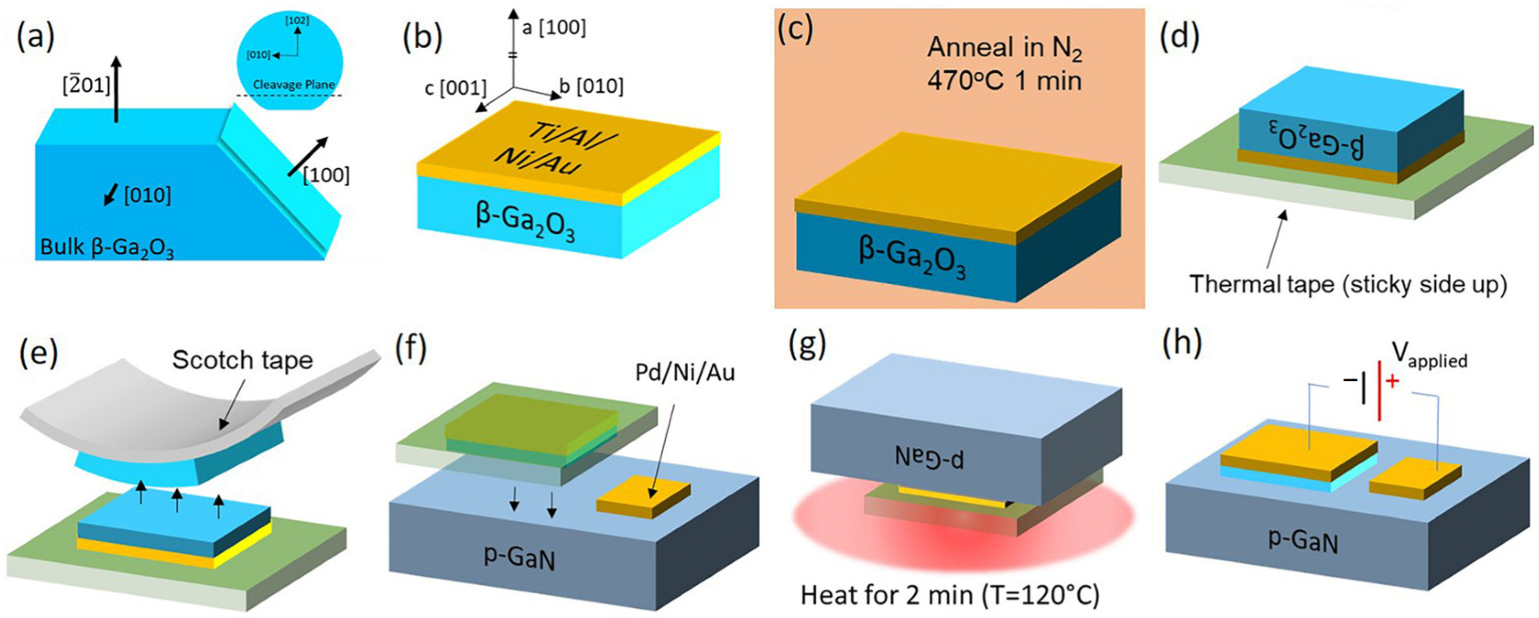 Polymers 17 01384 g005