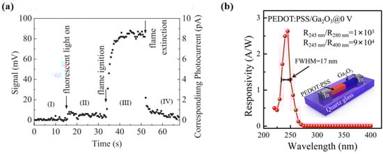 Polymers 17 01384 g007