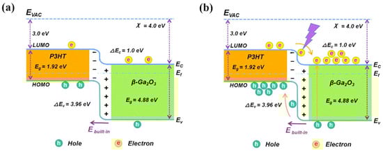 Polymers 17 01384 g009