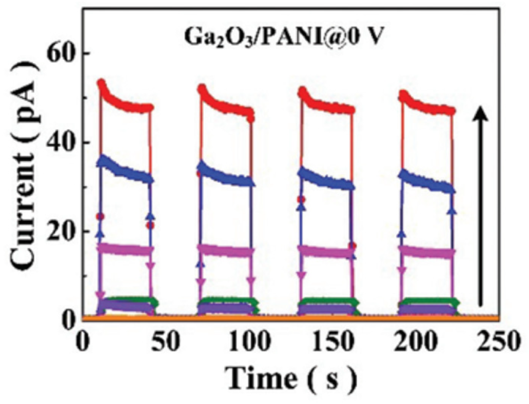 Polymers 17 01384 g010