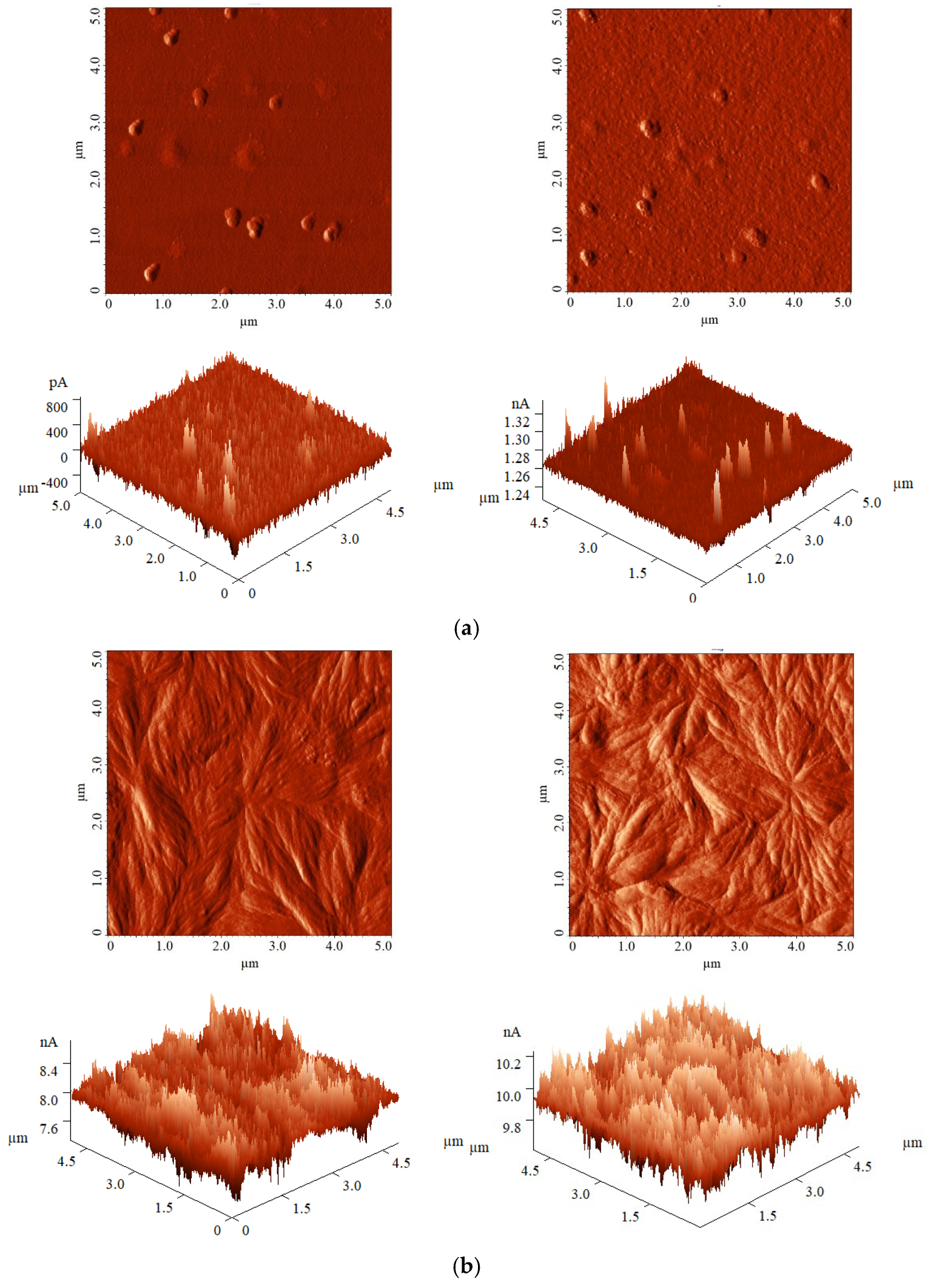 Polymers 17 01394 g007