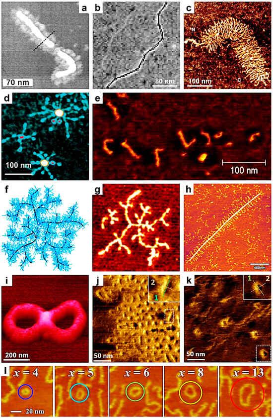 Polymers 17 01397 g001