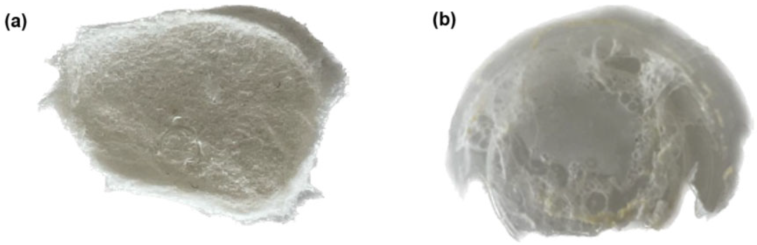 Polymers 17 01398 g005