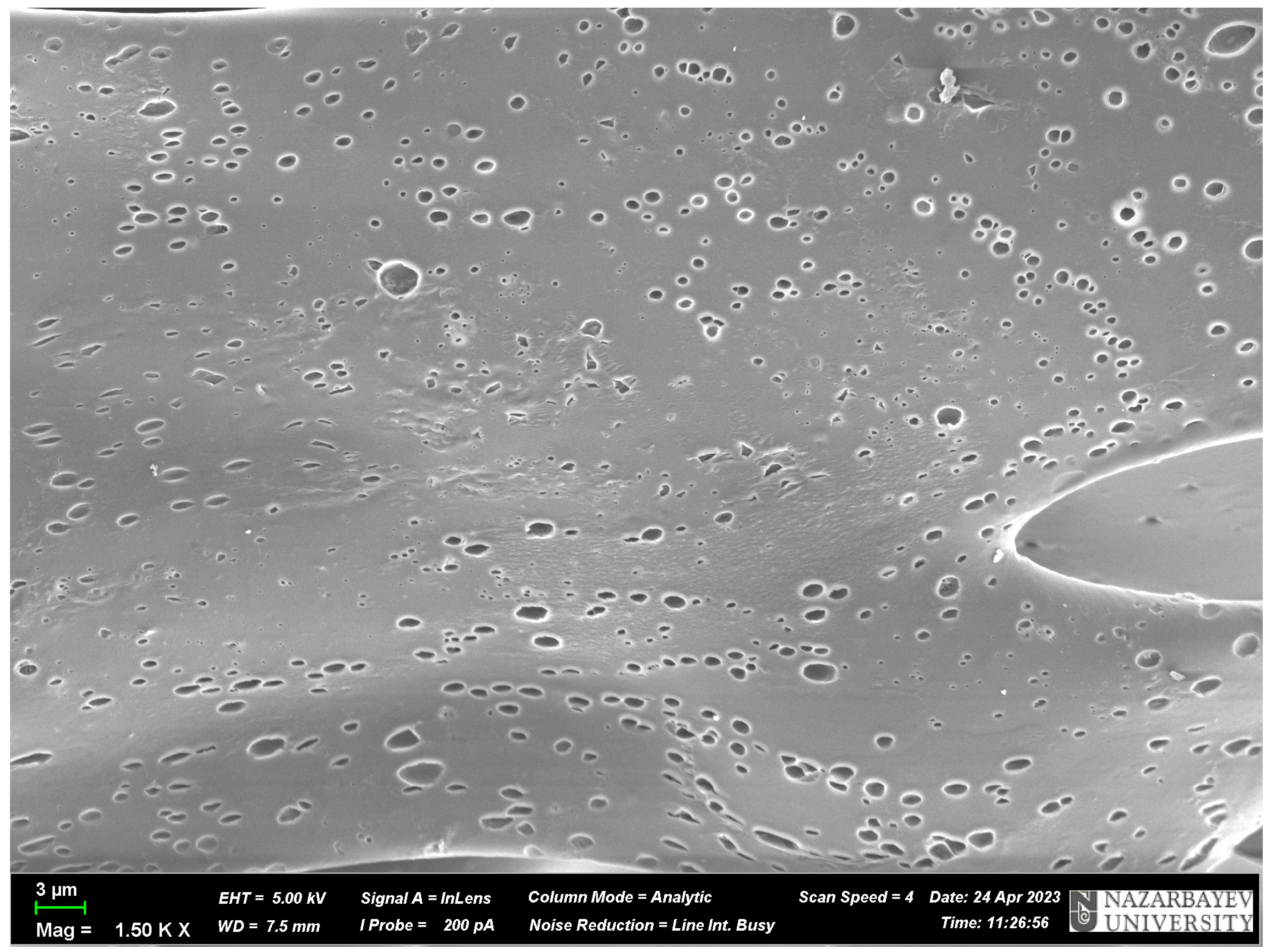 Polymers 17 01398 g008