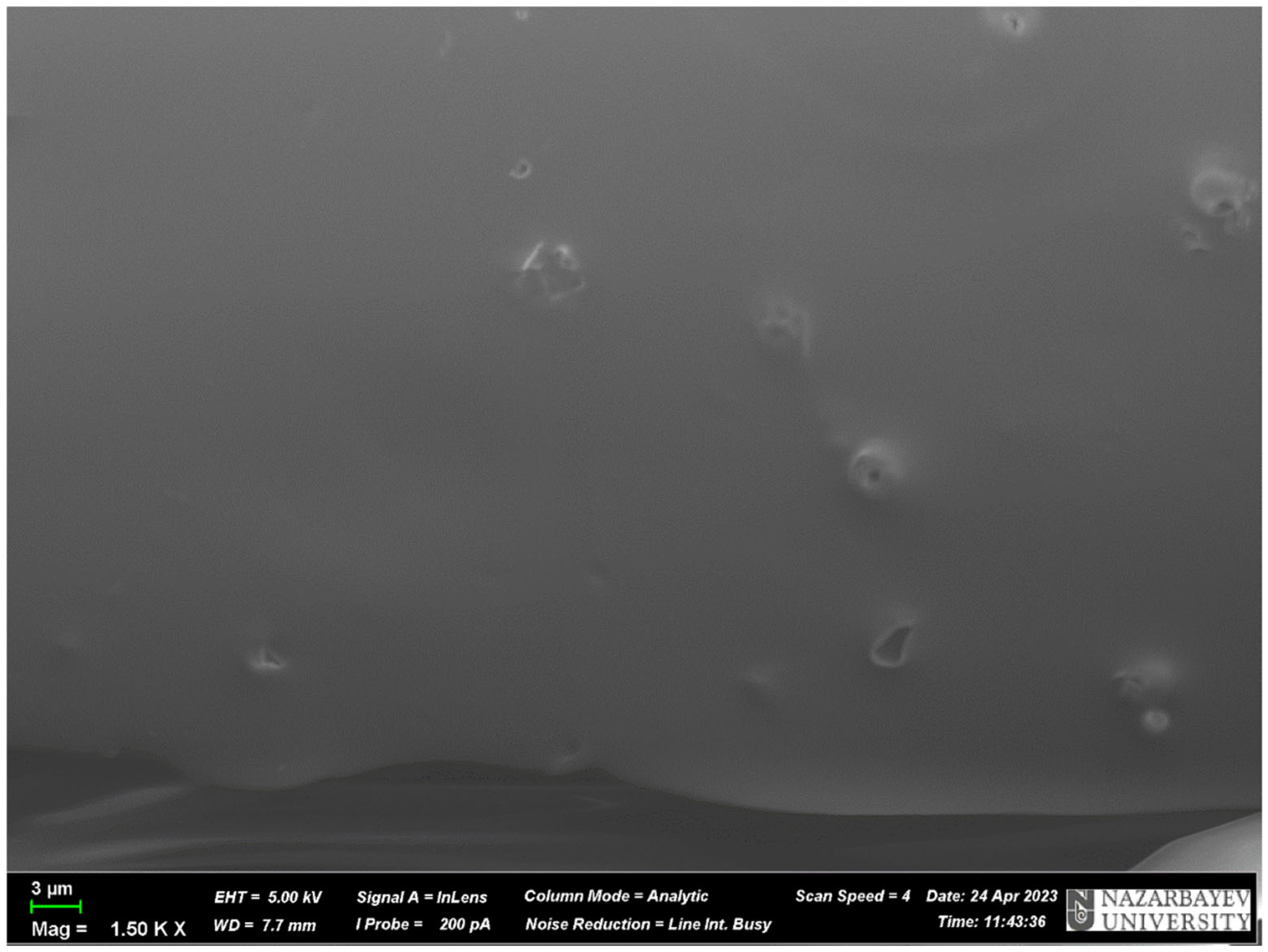 Polymers 17 01398 g009