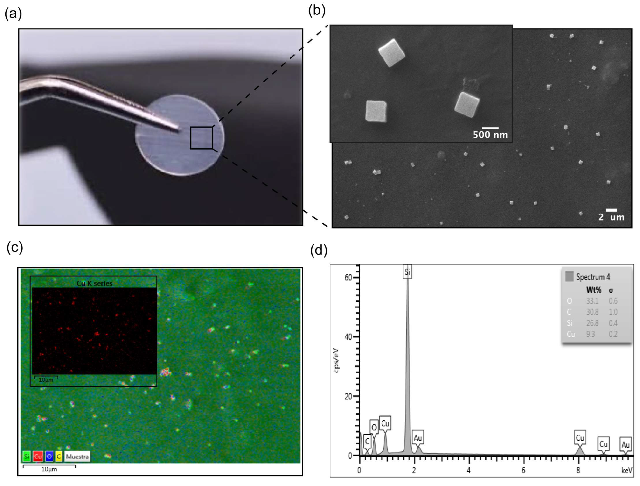 Polymers 17 01404 g001