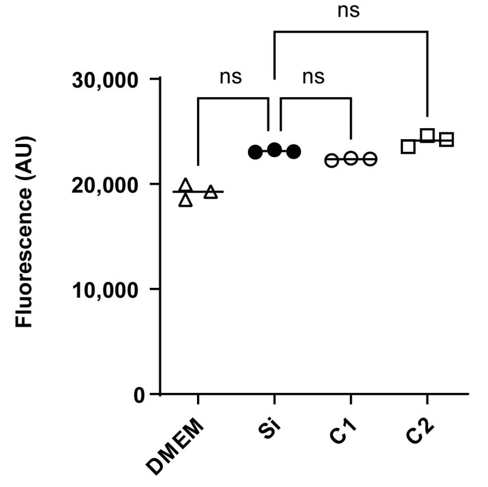 Polymers 17 01404 g004