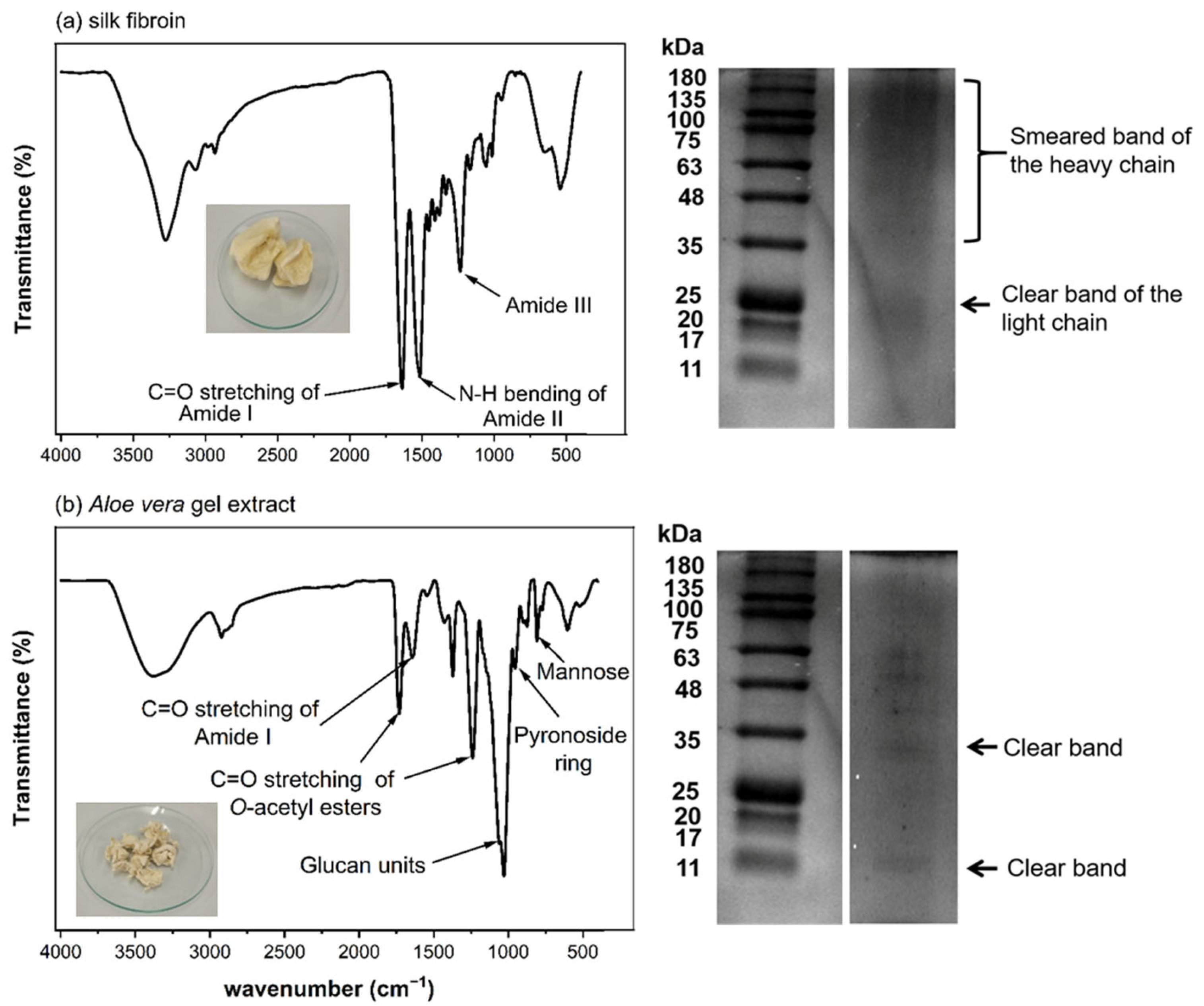 Polymers 17 01409 g001