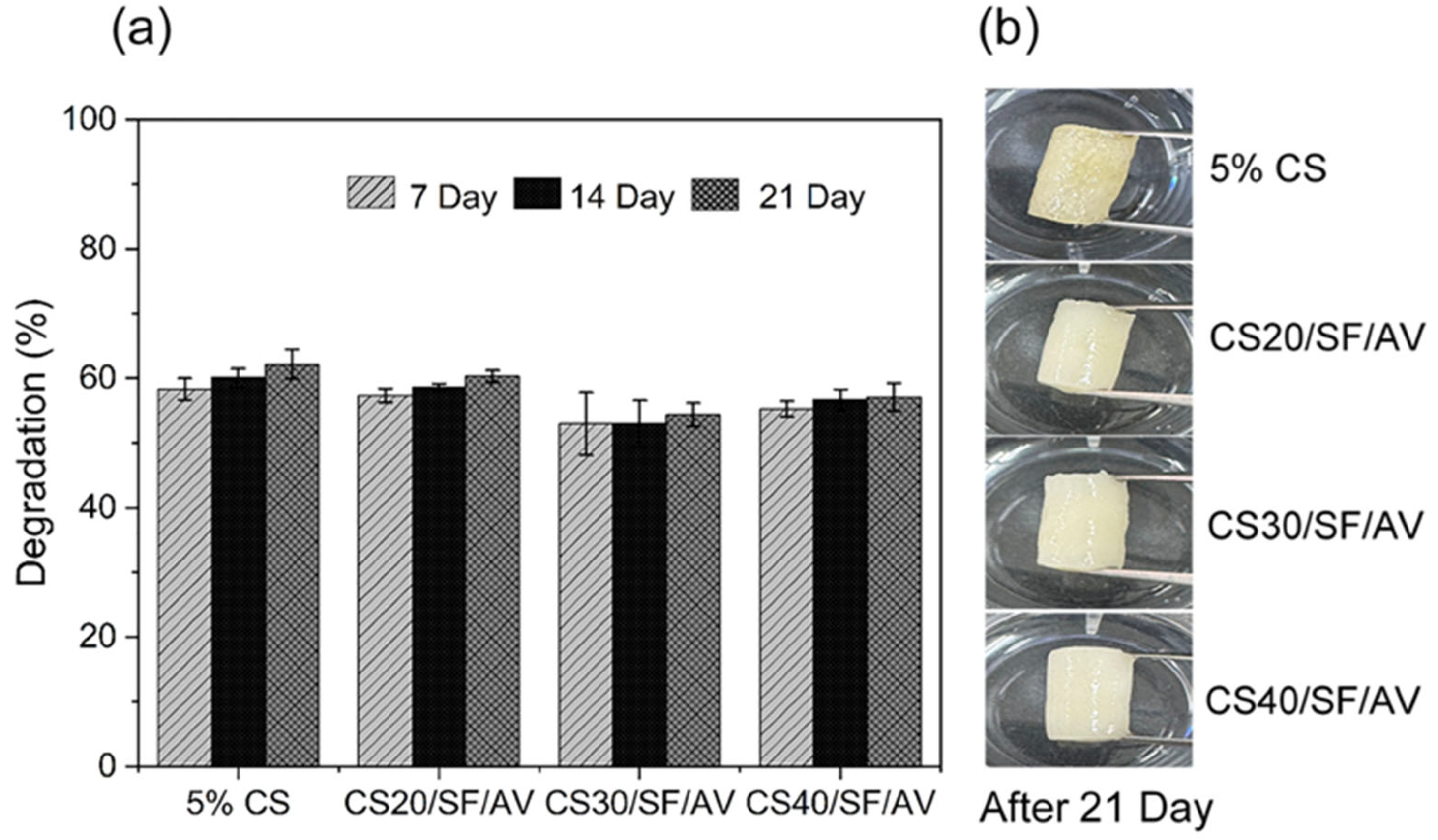 Polymers 17 01409 g007
