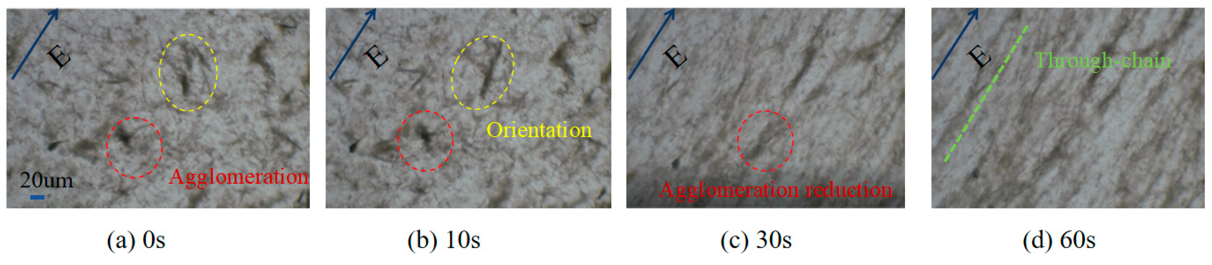 Polymers 17 01429 g005